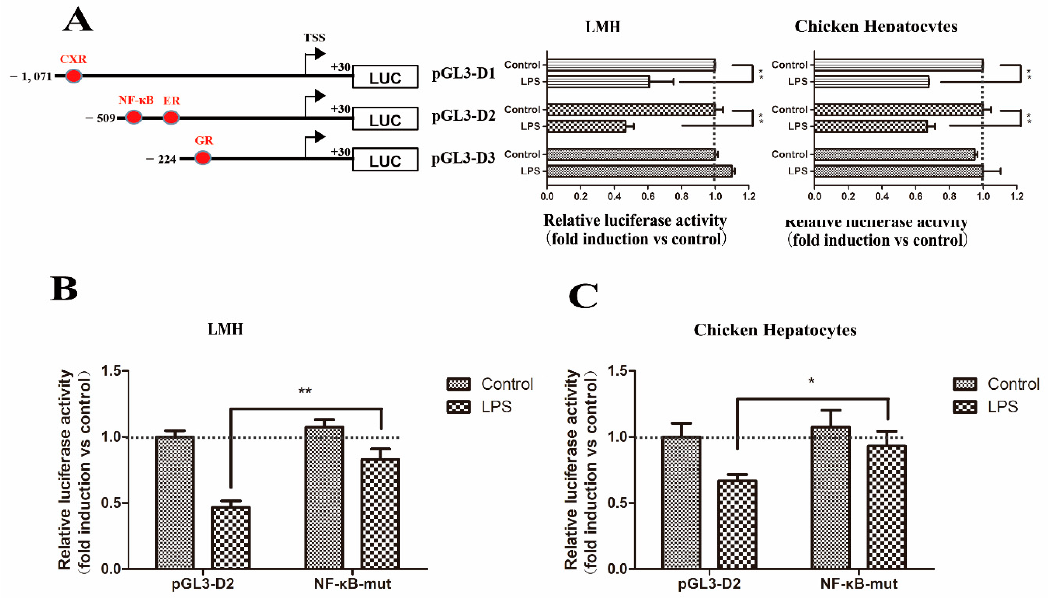 Genes 11 00186 g009