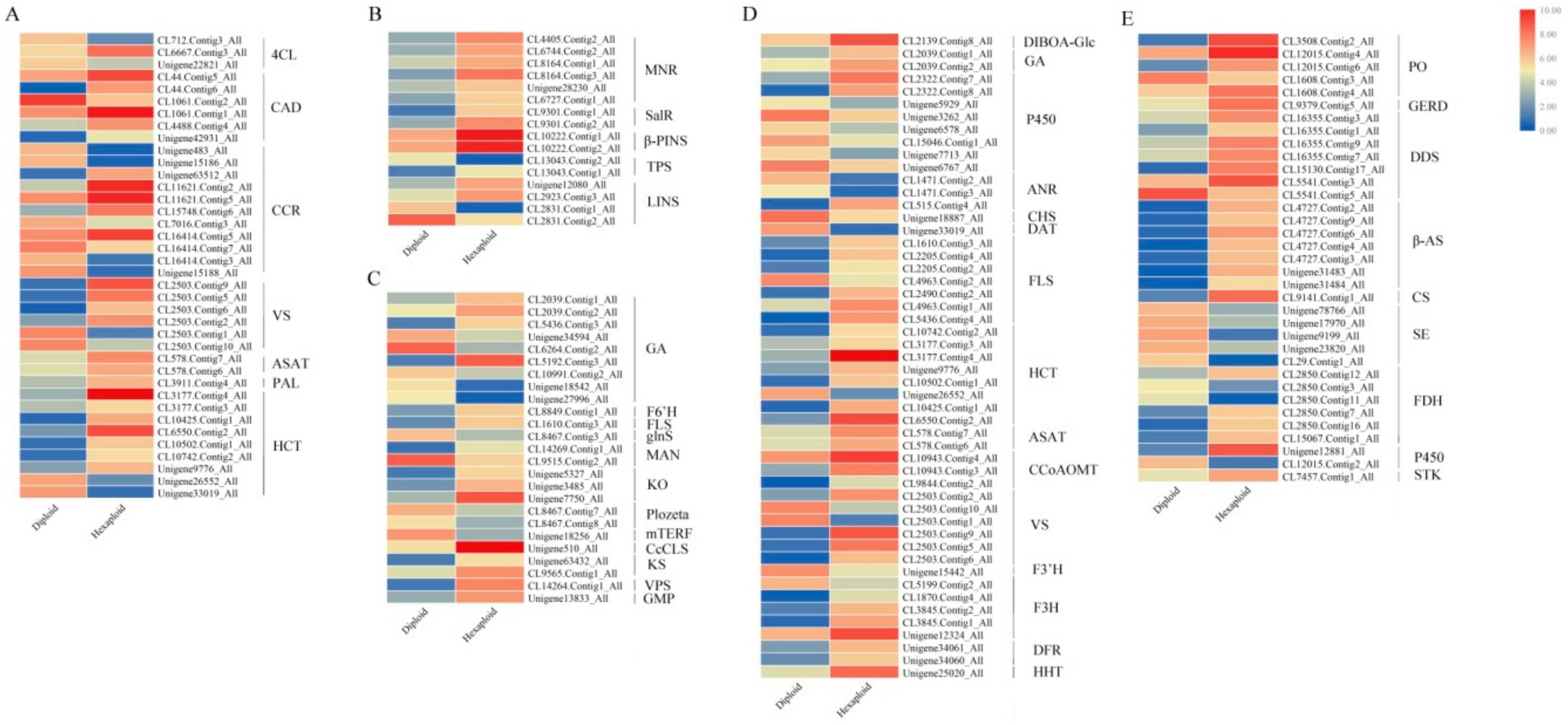 Genes 11 00187 g003 Genes 11 00187 g003