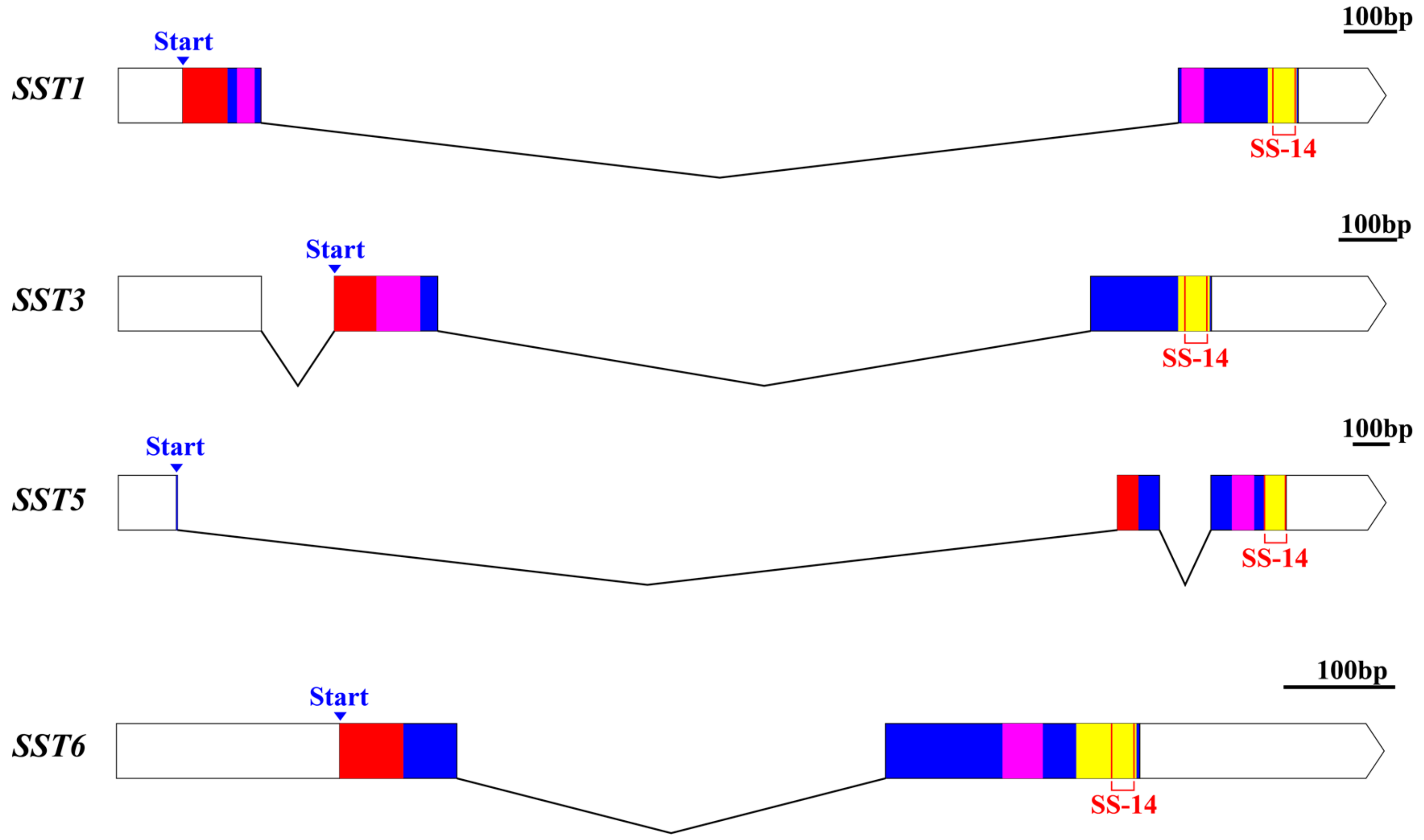 Genes 11 00194 g001 Genes 11 00194 g001