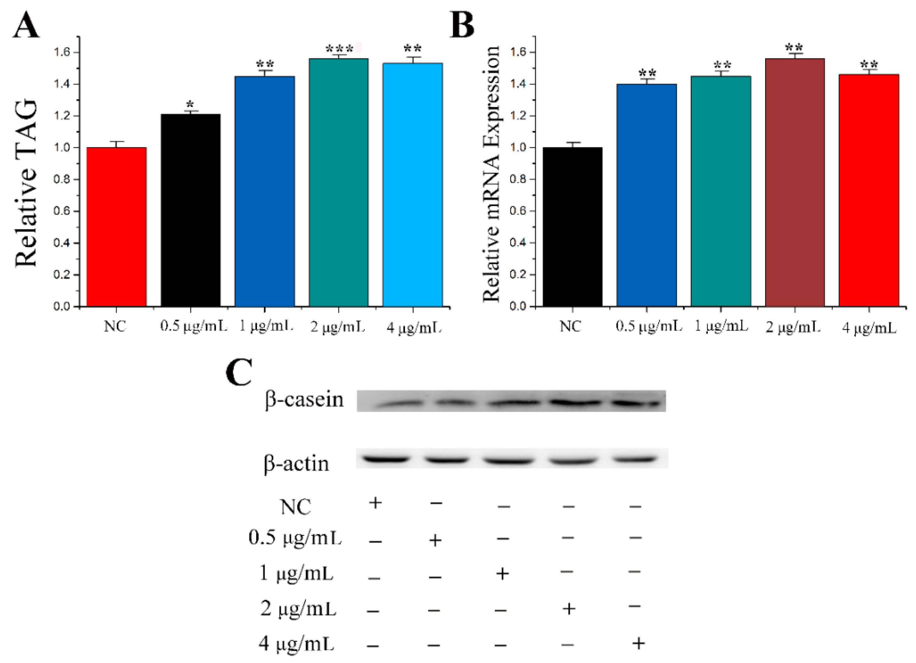 Genes 11 00196 g001 Genes 11 00196 g001