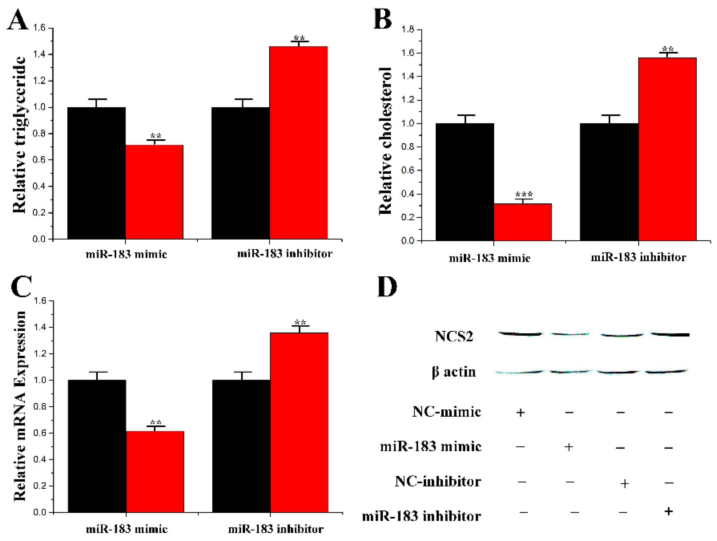 Genes 11 00196 g007 Genes 11 00196 g007