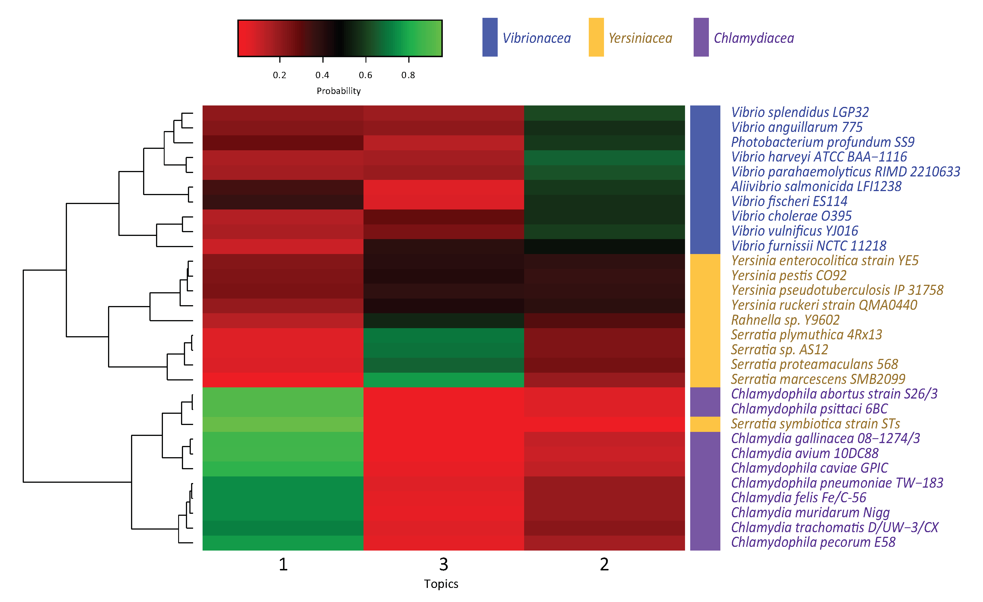 Genes 11 00197 g003 Genes 11 00197 g003