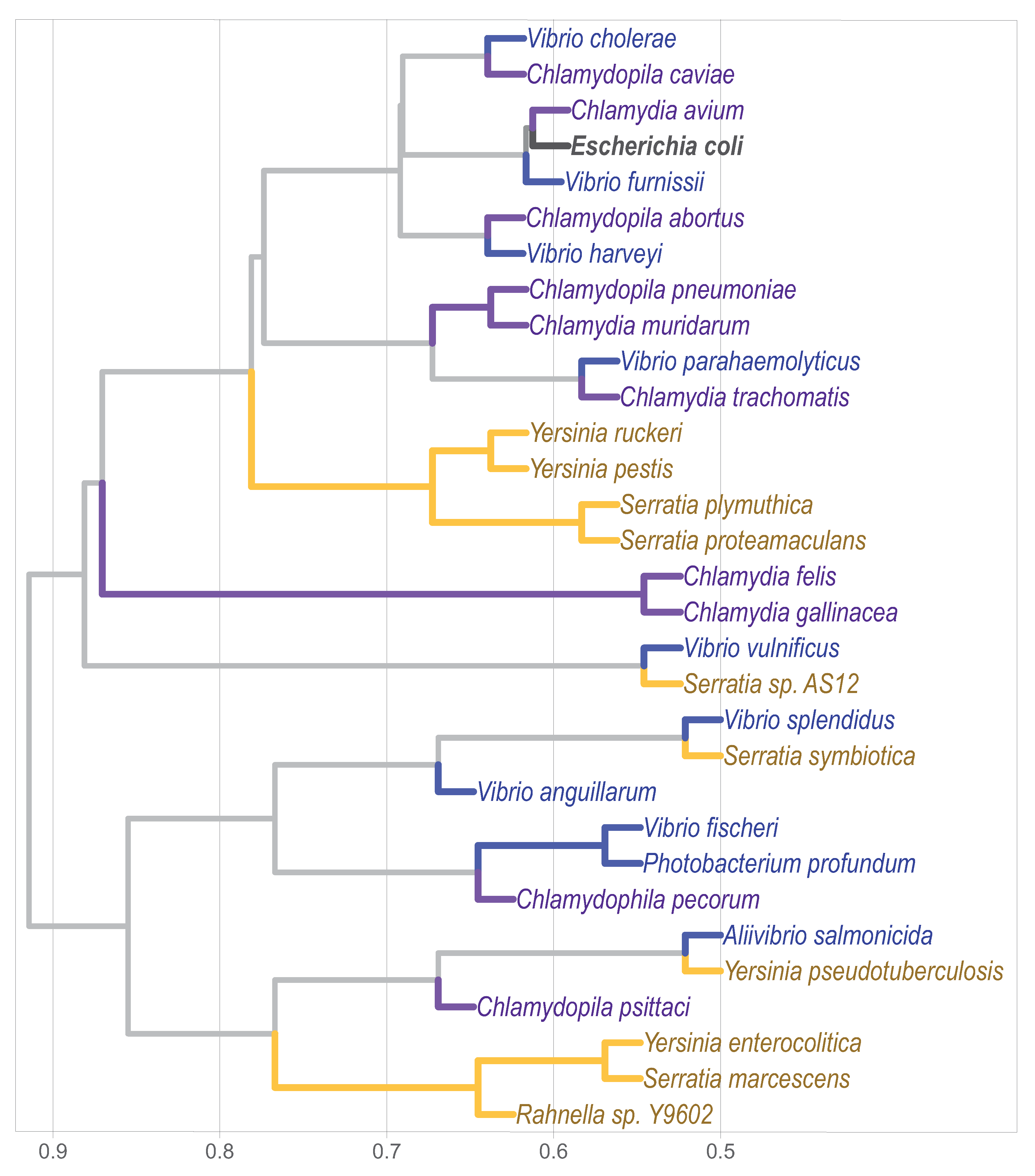 Genes 11 00197 g004 Genes 11 00197 g004