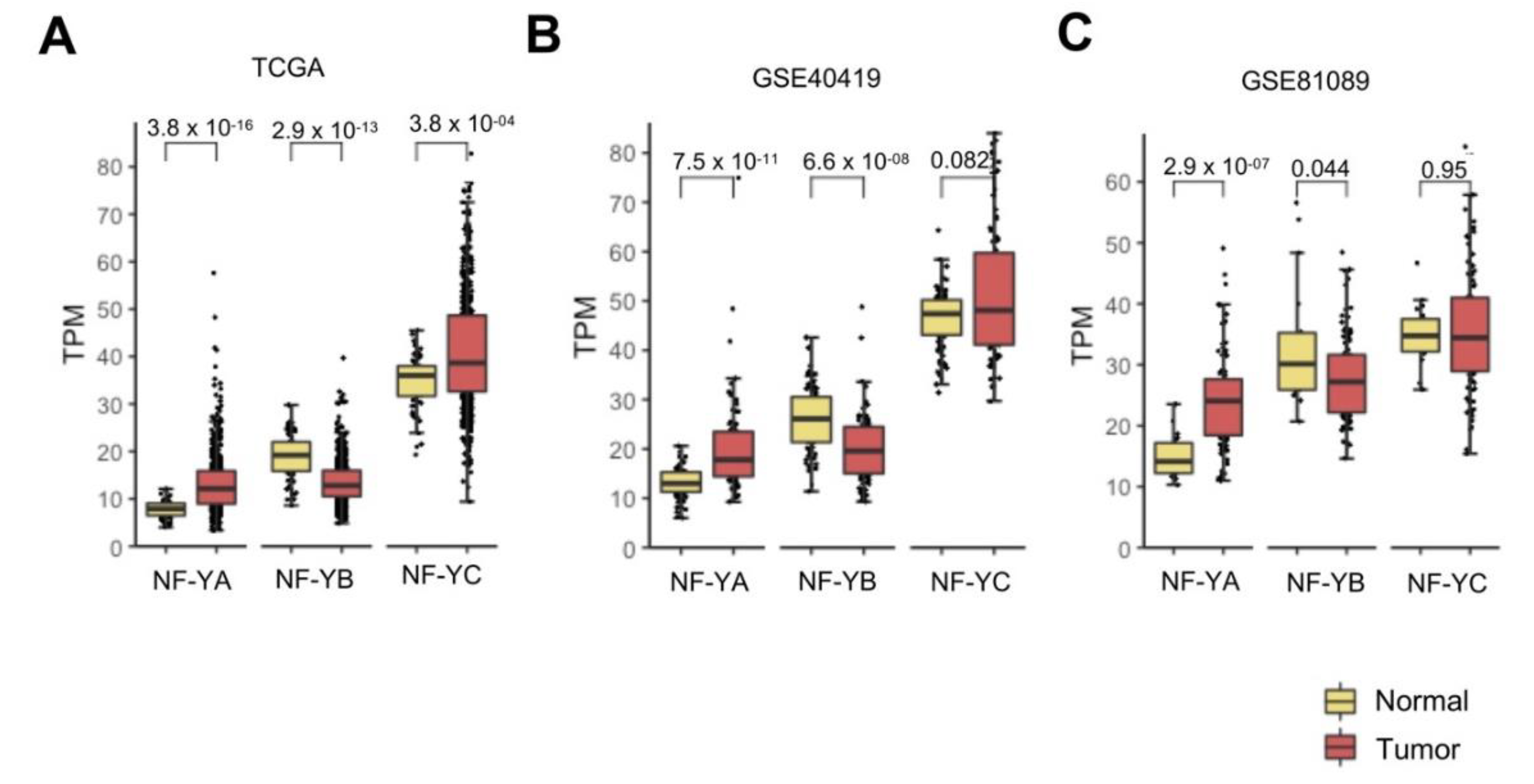Genes 11 00198 g001 Genes 11 00198 g001