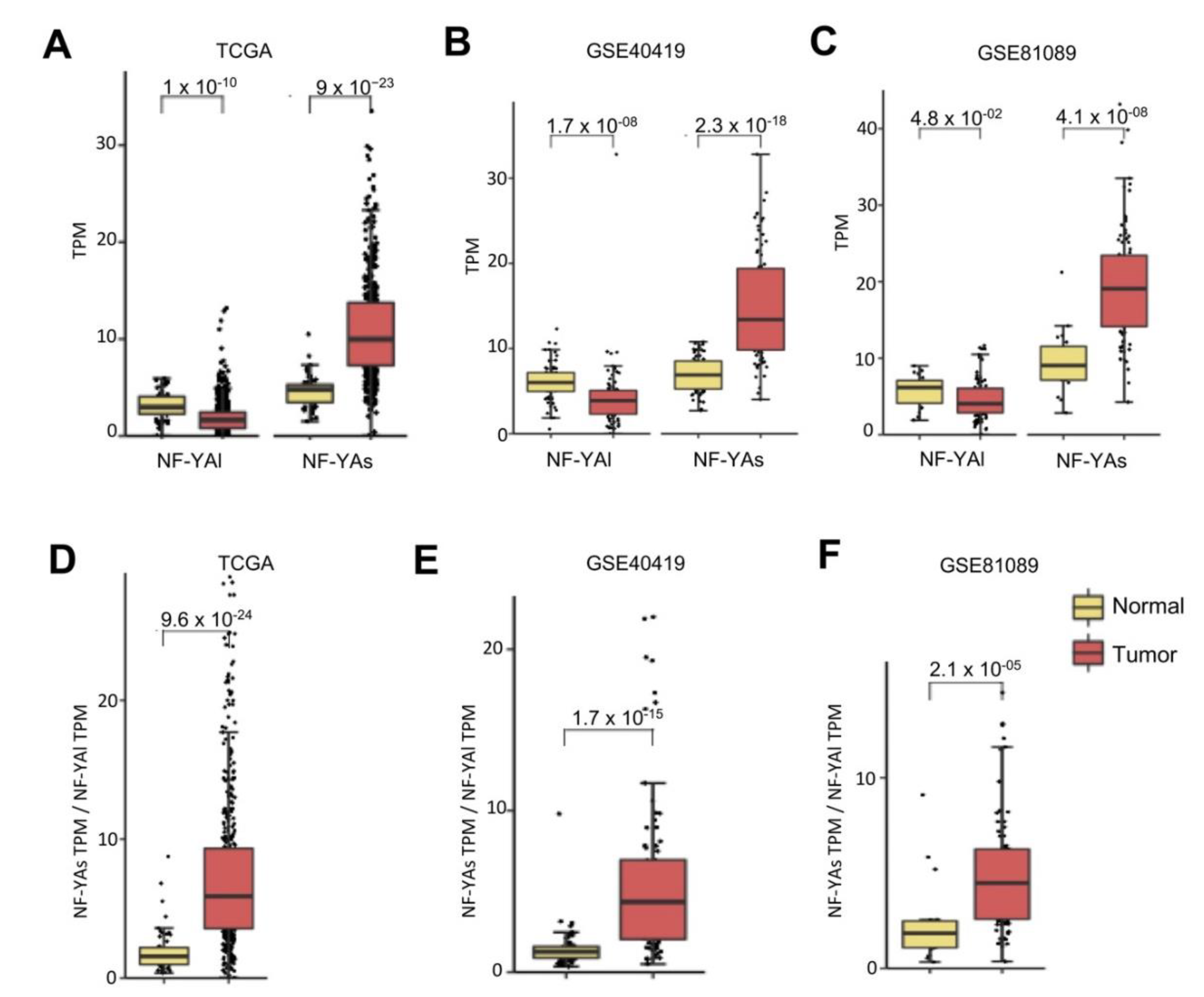 Genes 11 00198 g002 Genes 11 00198 g002