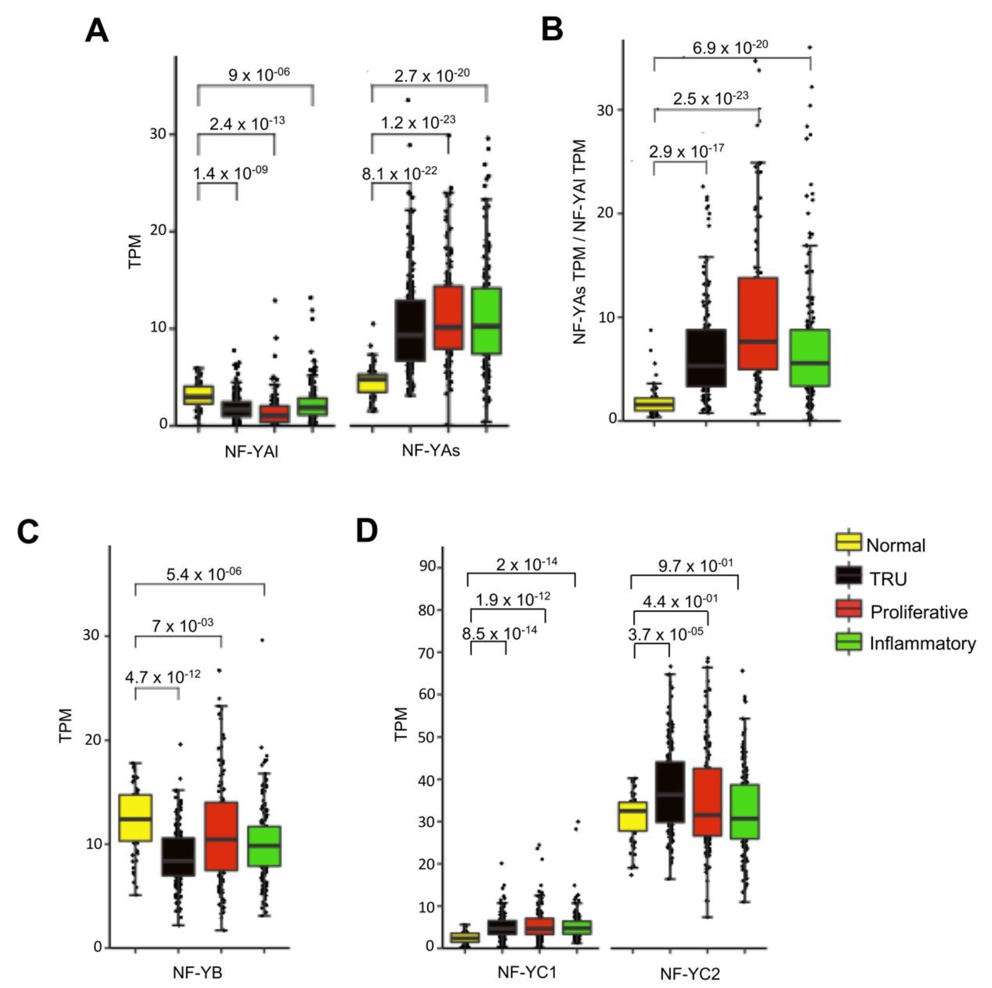 Genes 11 00198 g003 Genes 11 00198 g003