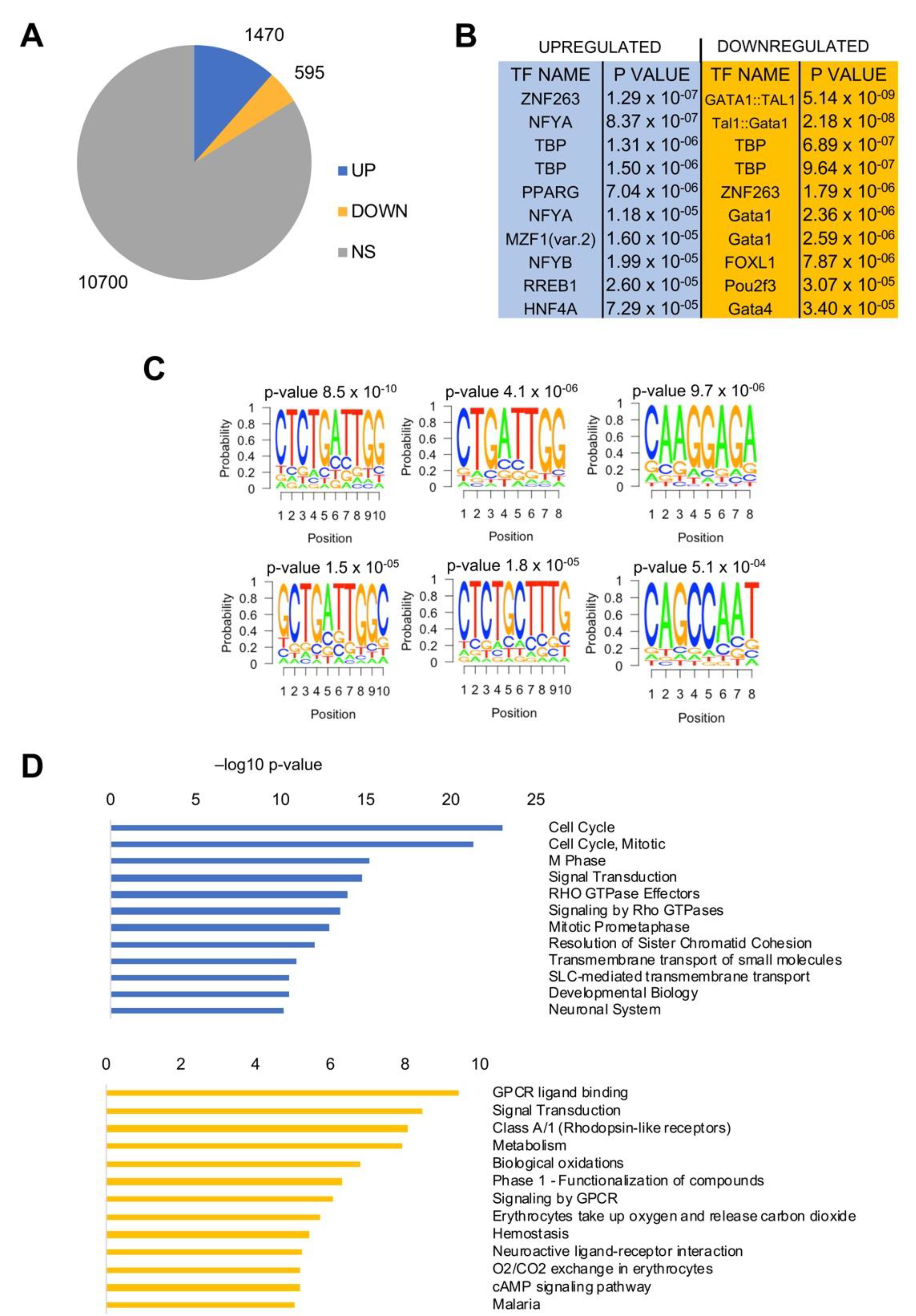 Genes 11 00198 g004 Genes 11 00198 g004