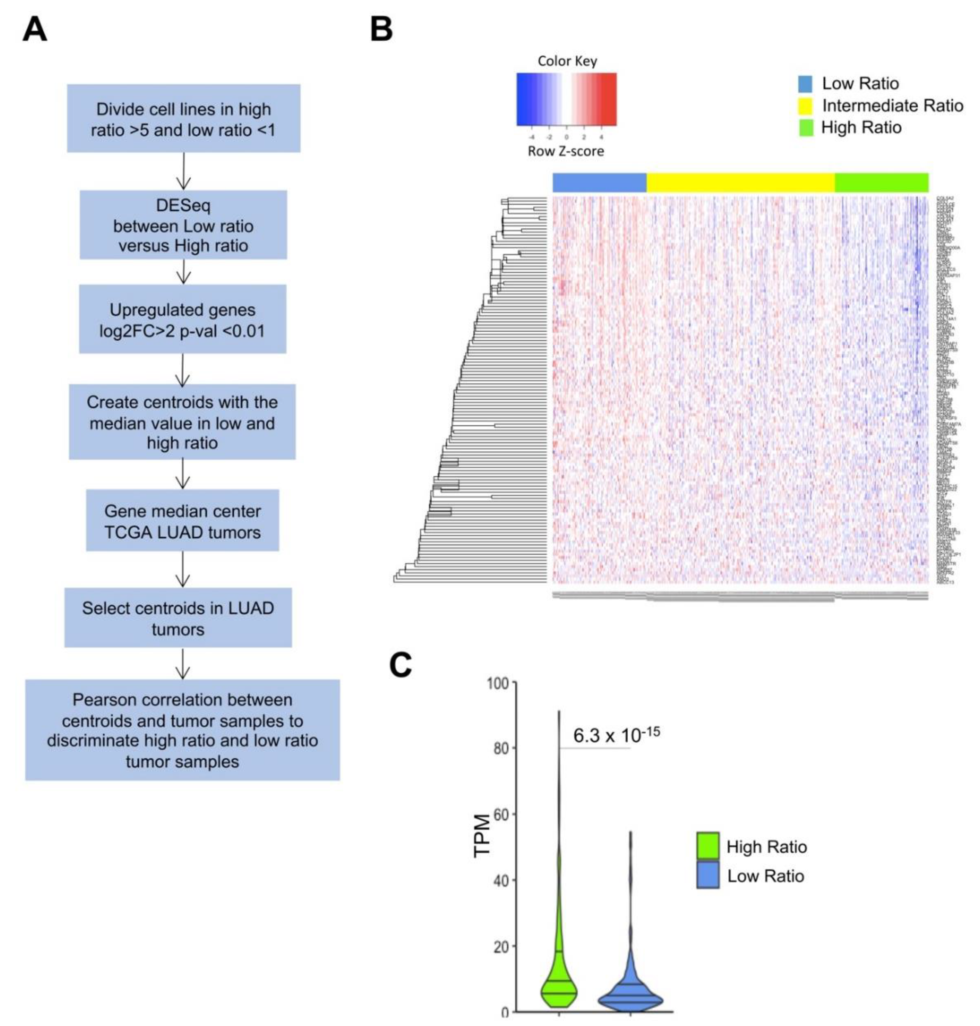 Genes 11 00198 g006 Genes 11 00198 g006