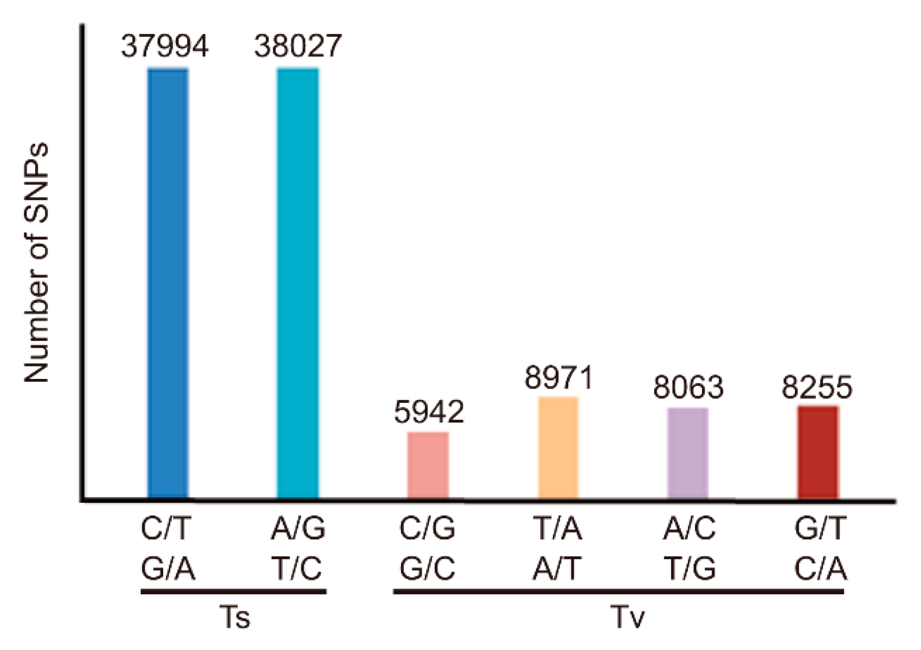 Genes 11 00199 g002 Genes 11 00199 g002