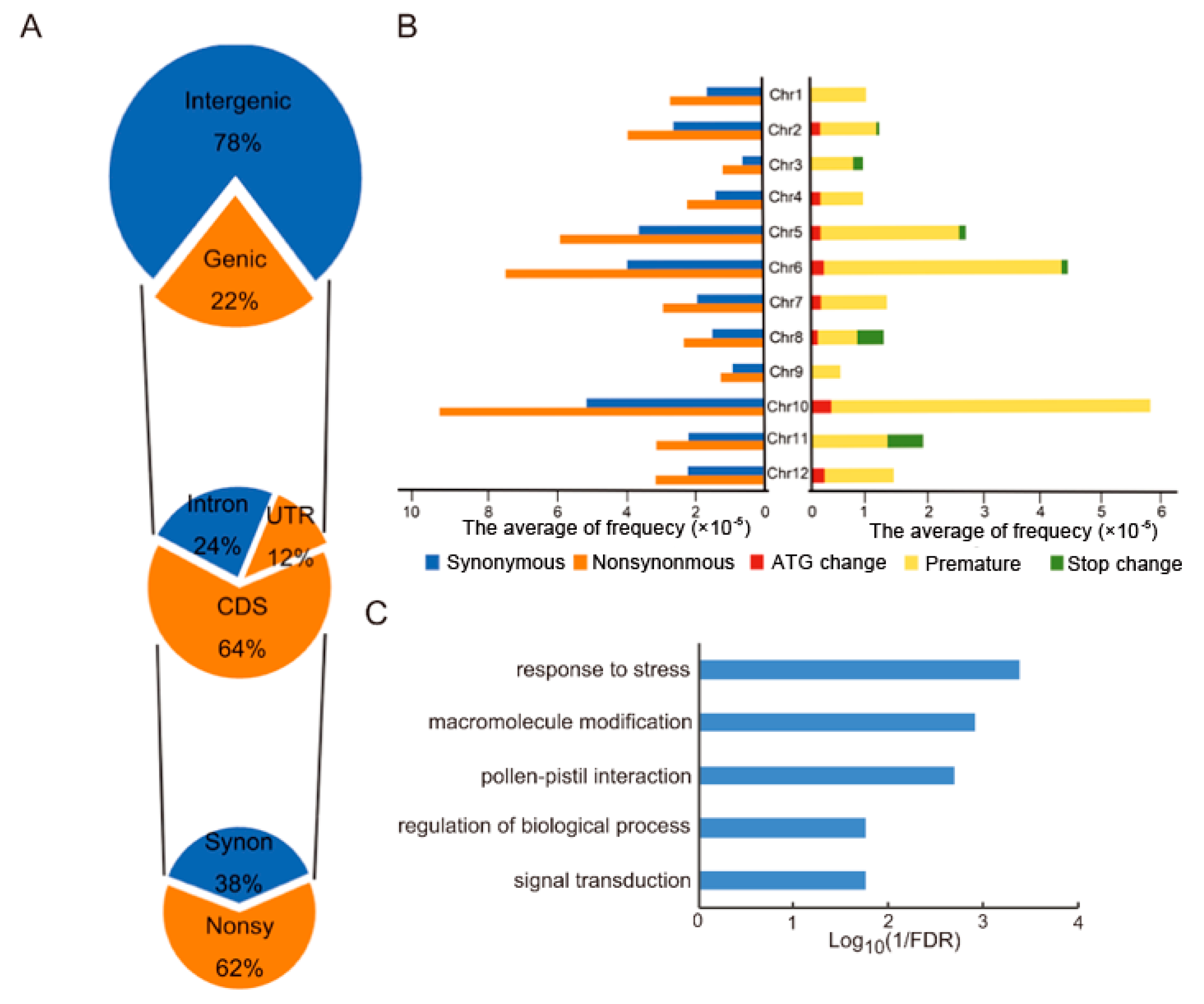 Genes 11 00199 g004 Genes 11 00199 g004