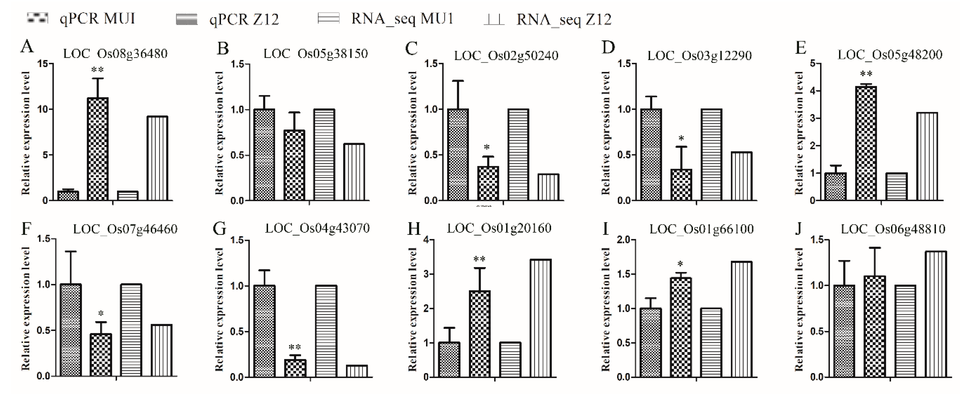 Genes 11 00199 g008 Genes 11 00199 g008