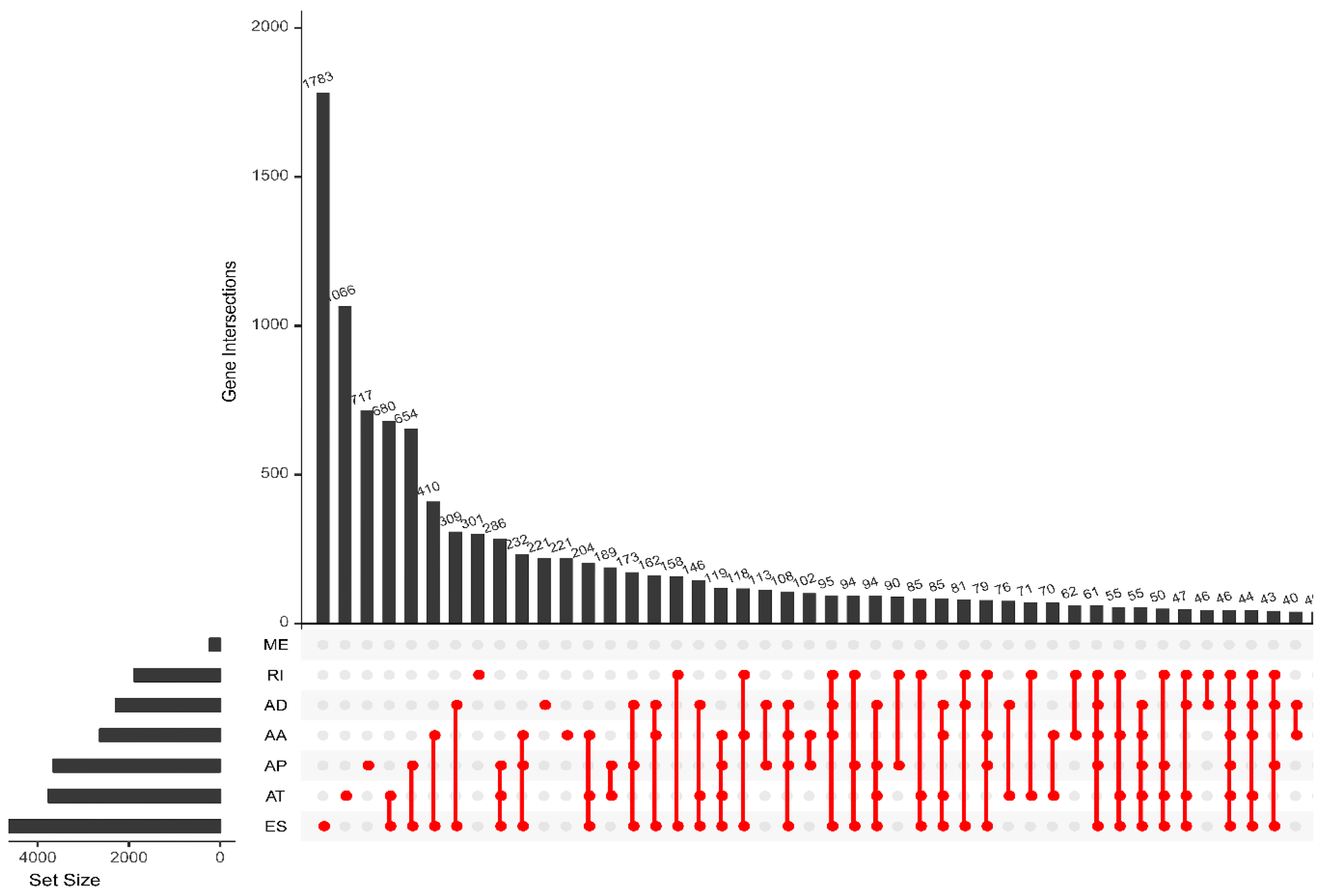 Genes 11 00200 g001