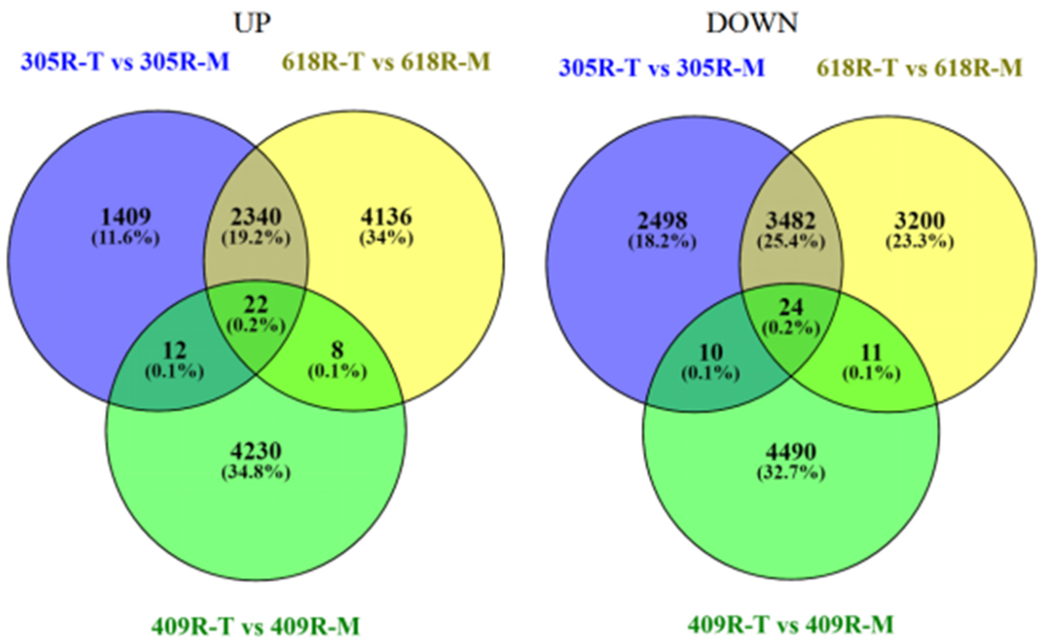 Genes 11 00202 g001
