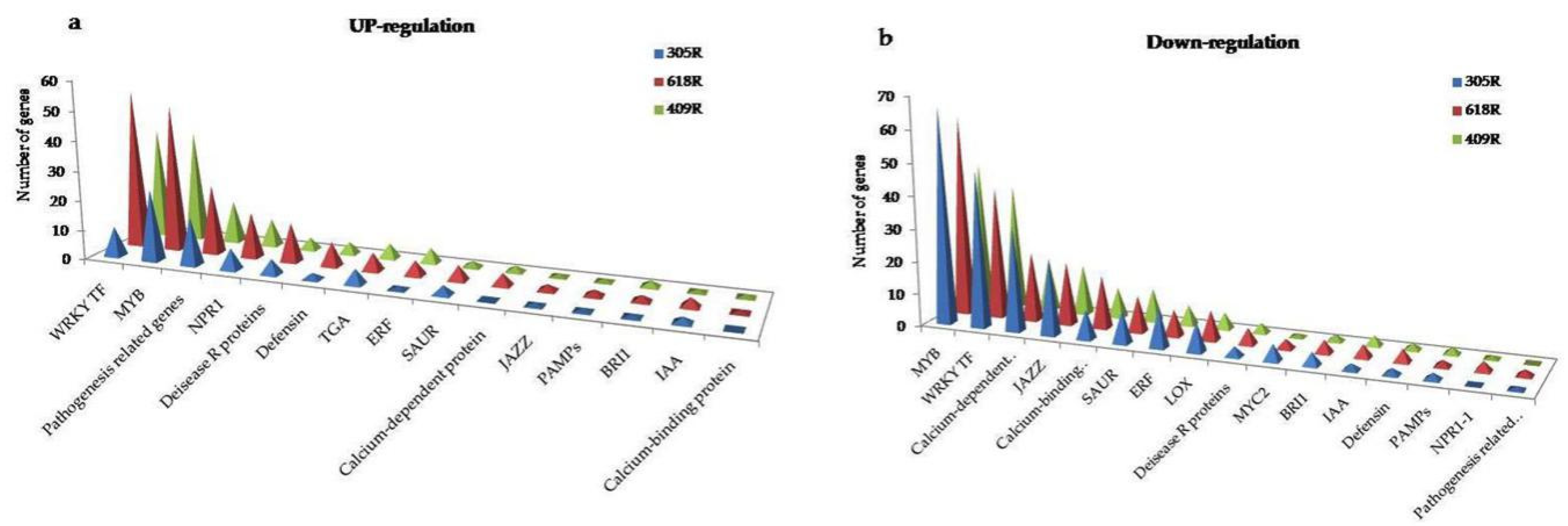 Genes 11 00202 g004