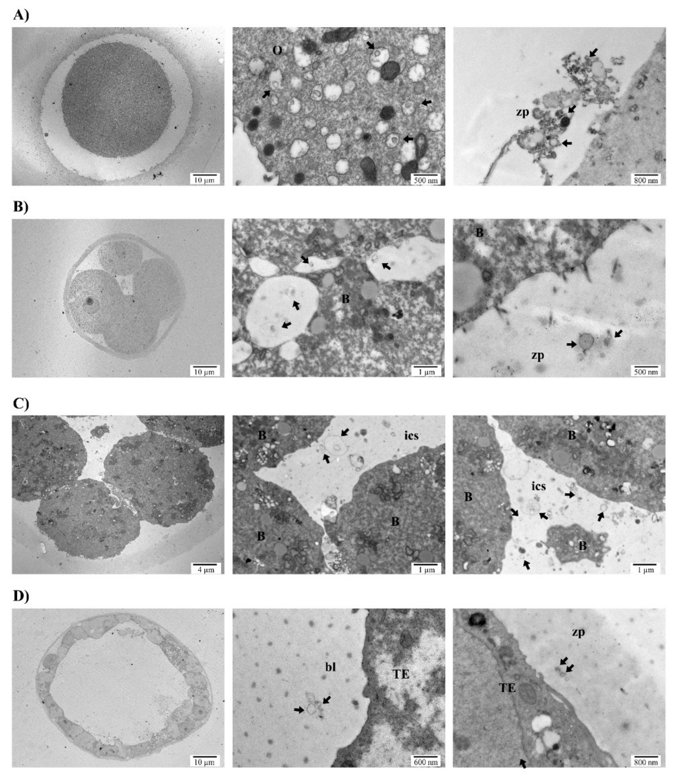 Genes 11 00203 g001 Genes 11 00203 g001