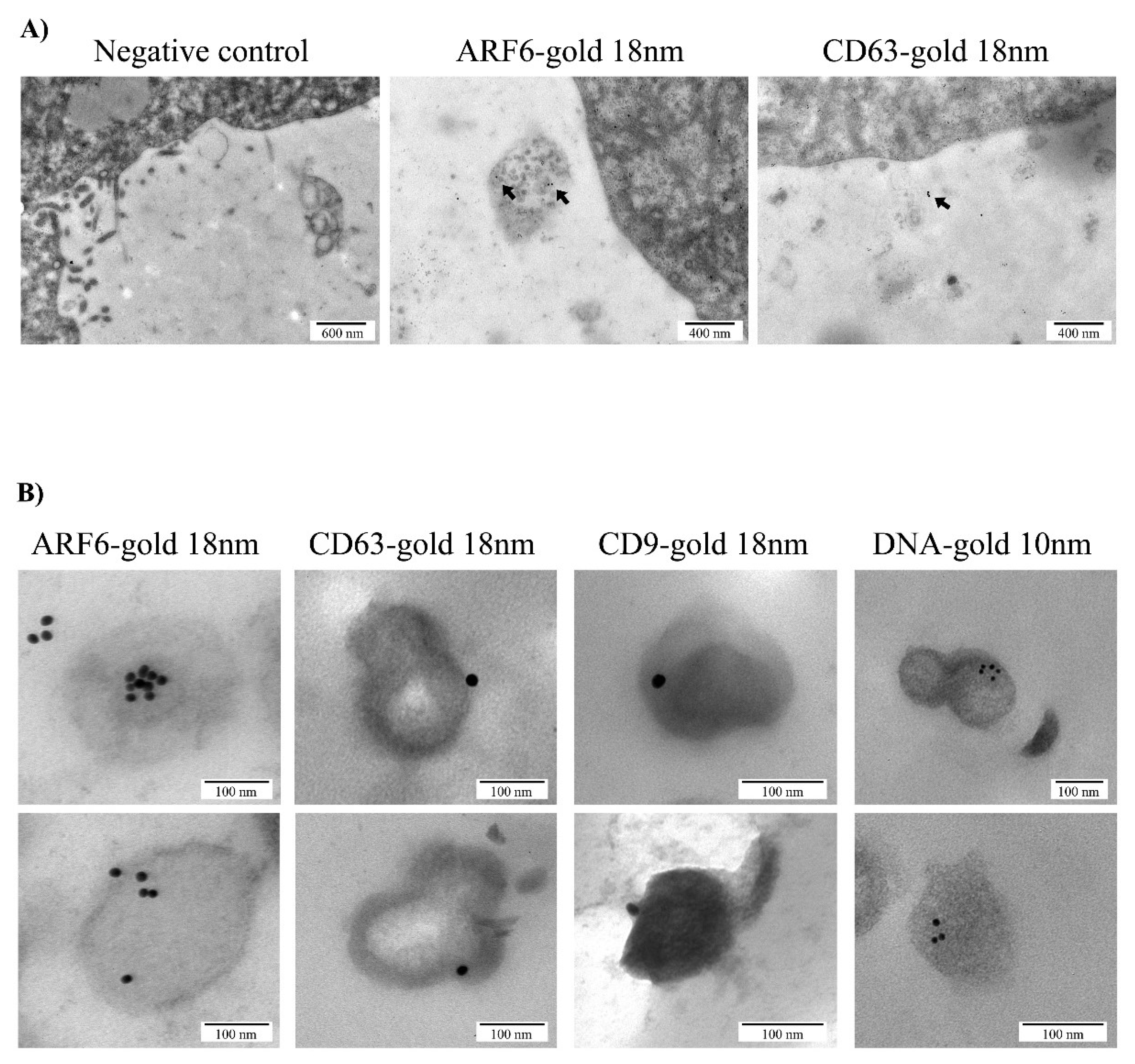 Genes 11 00203 g003 Genes 11 00203 g003