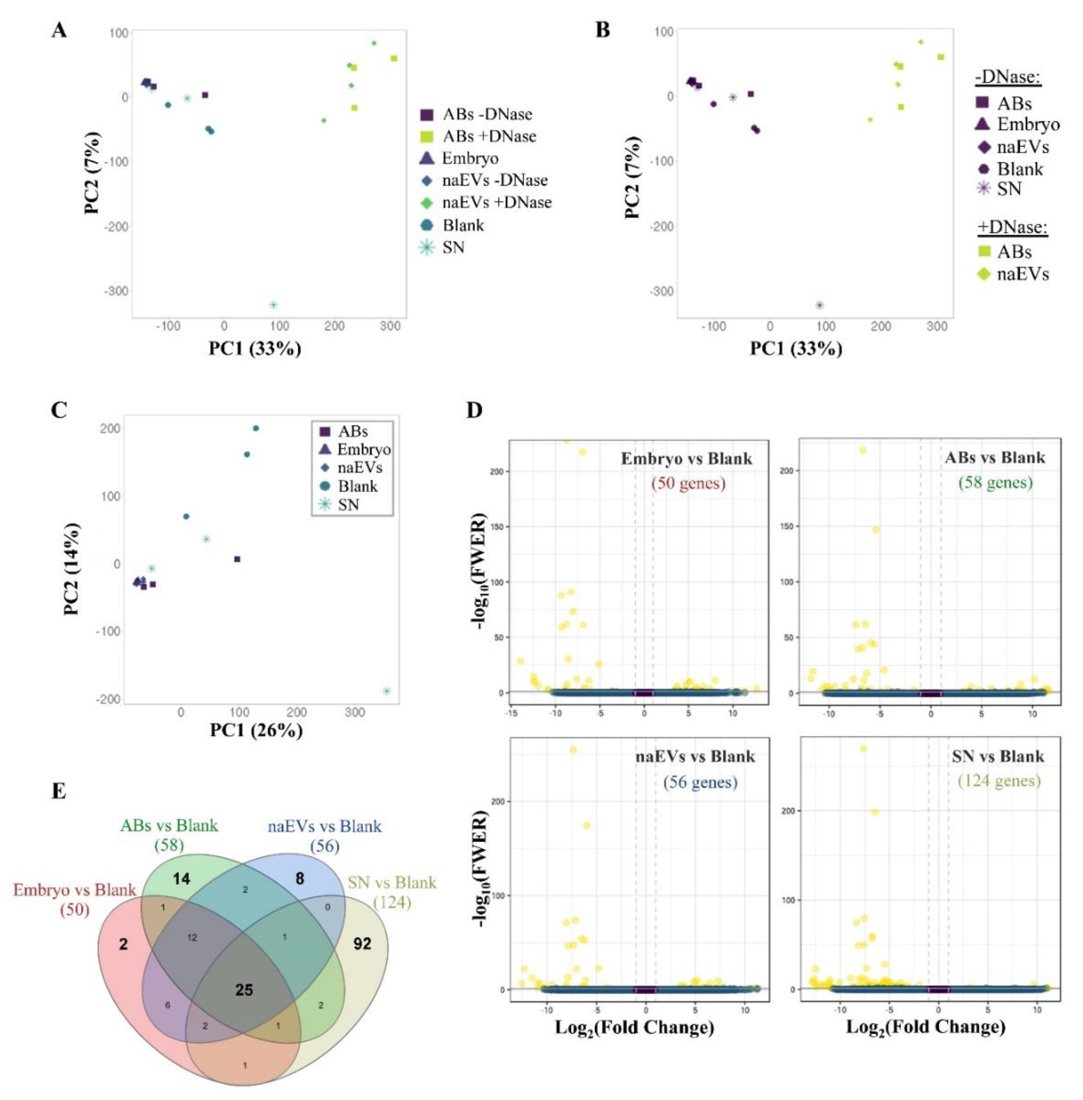 Genes 11 00203 g005 Genes 11 00203 g005