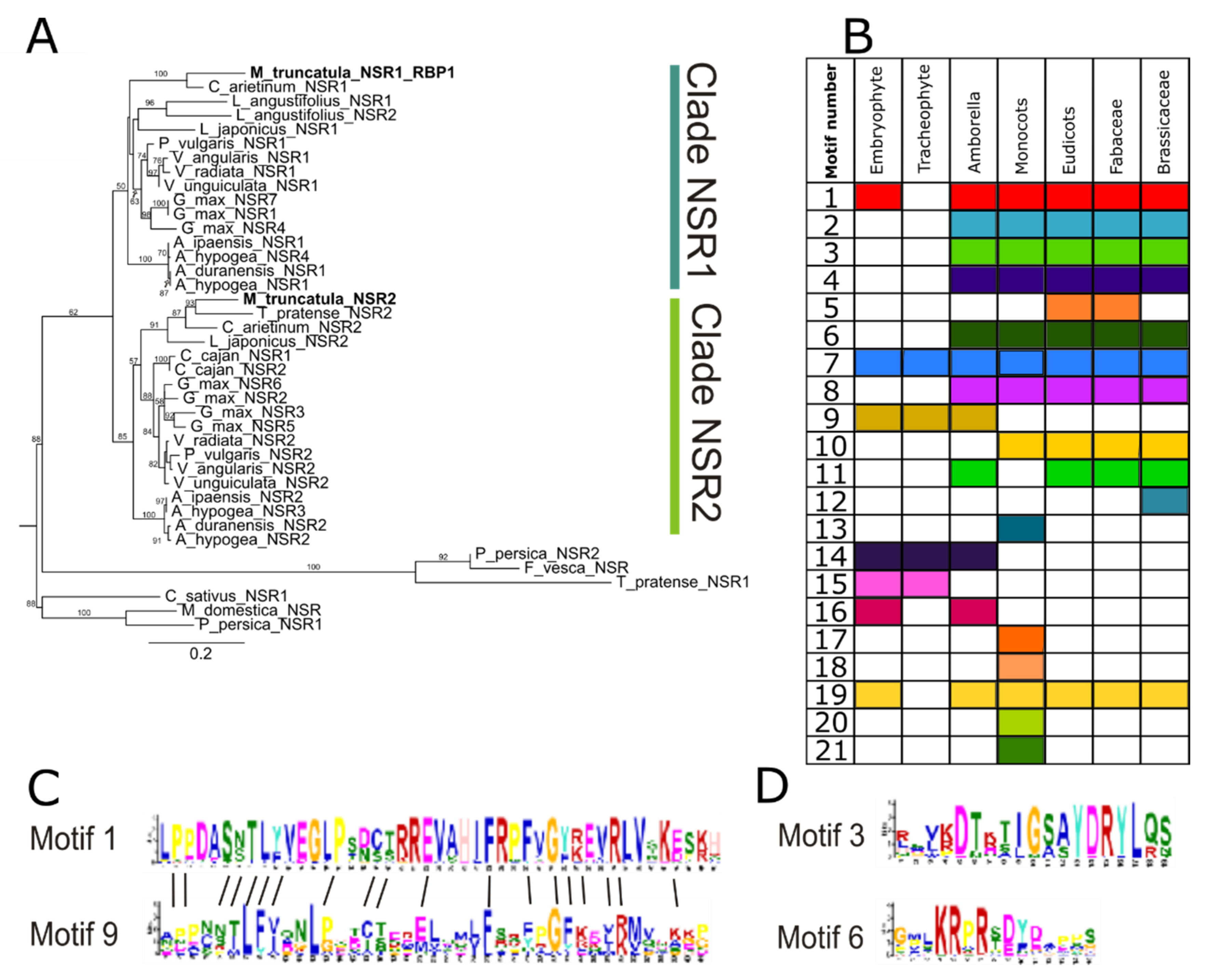 Genes 11 00207 g001 Genes 11 00207 g001