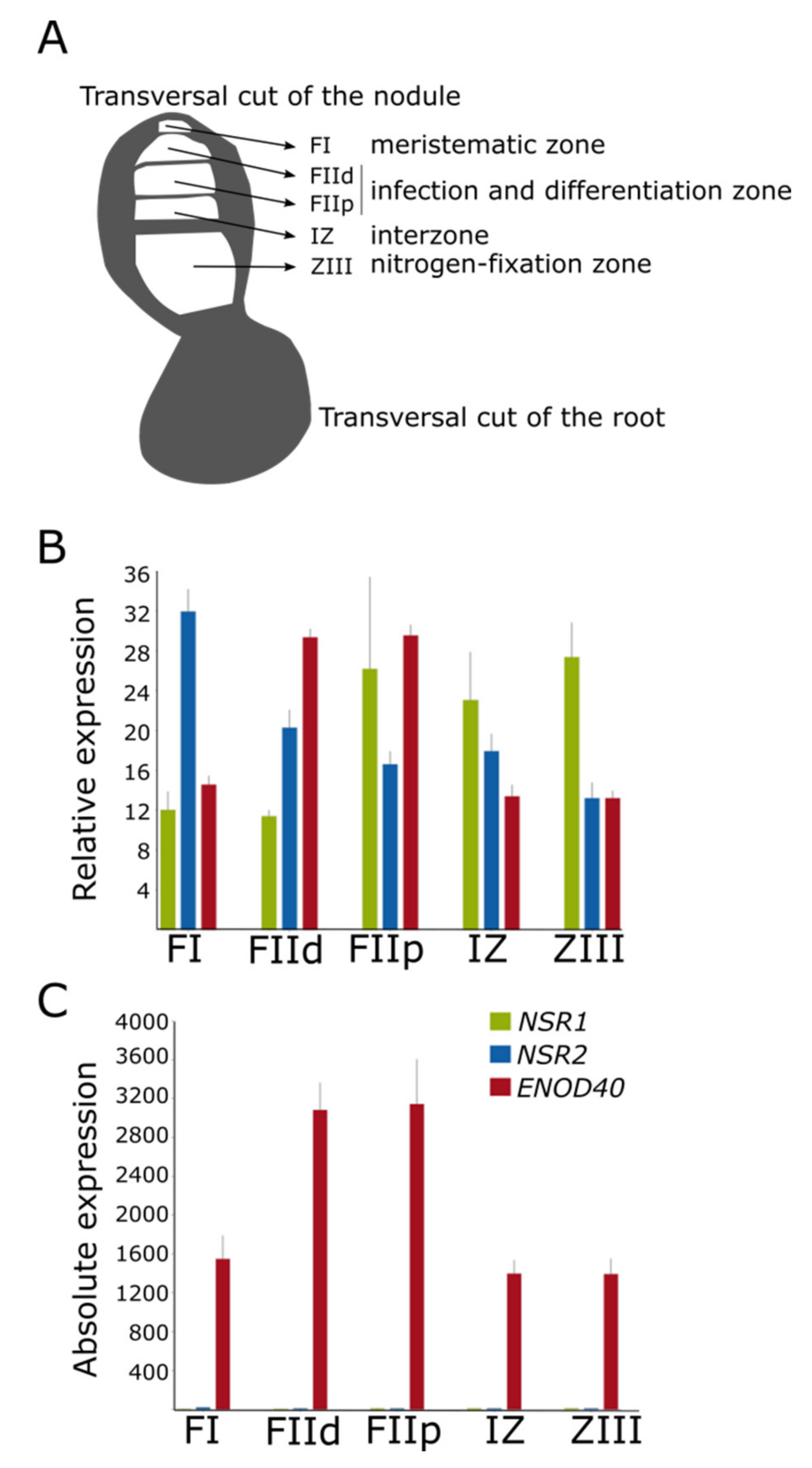Genes 11 00207 g003 Genes 11 00207 g003