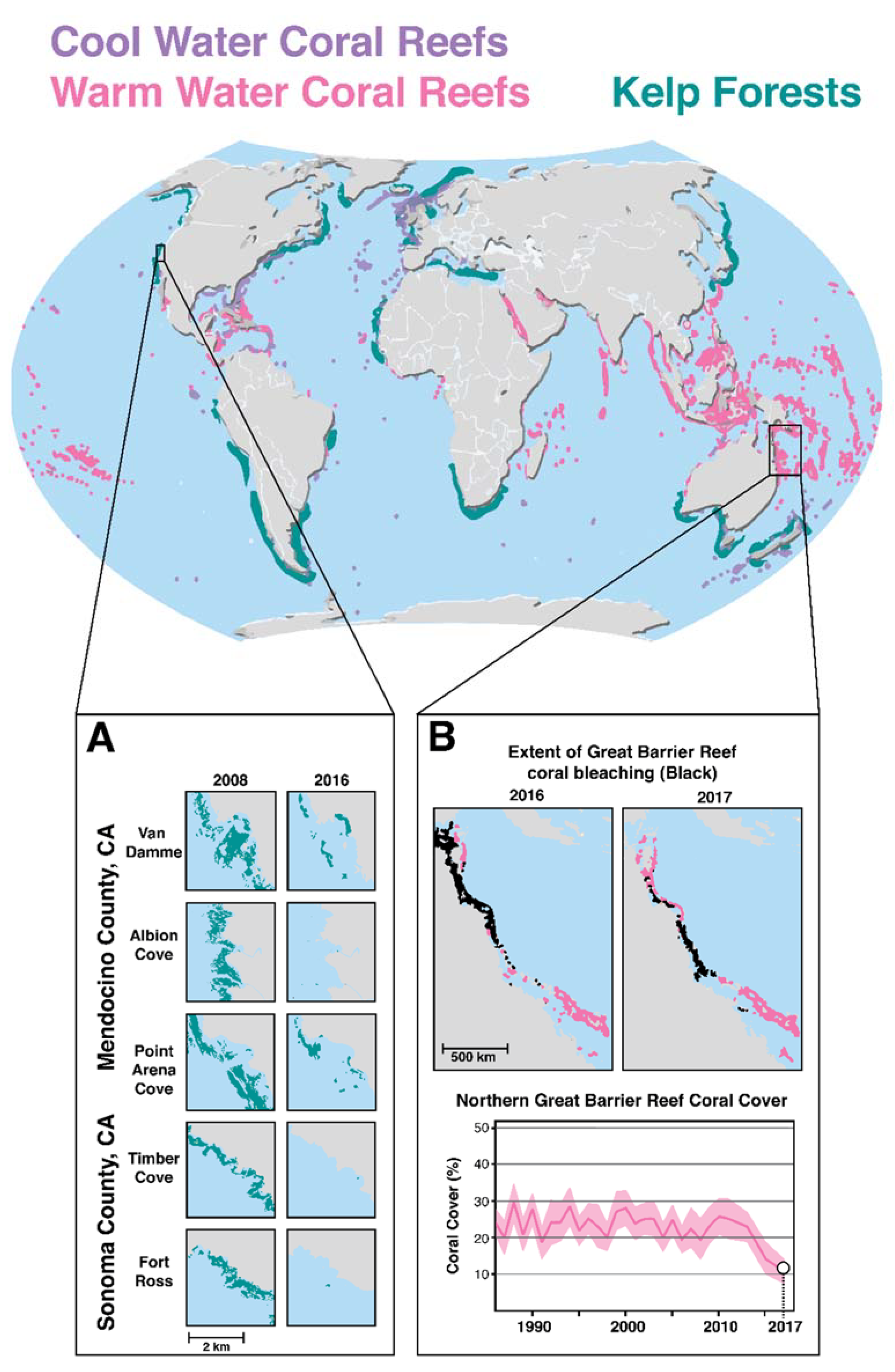 Genes 11 00209 g003 Genes 11 00209 g003