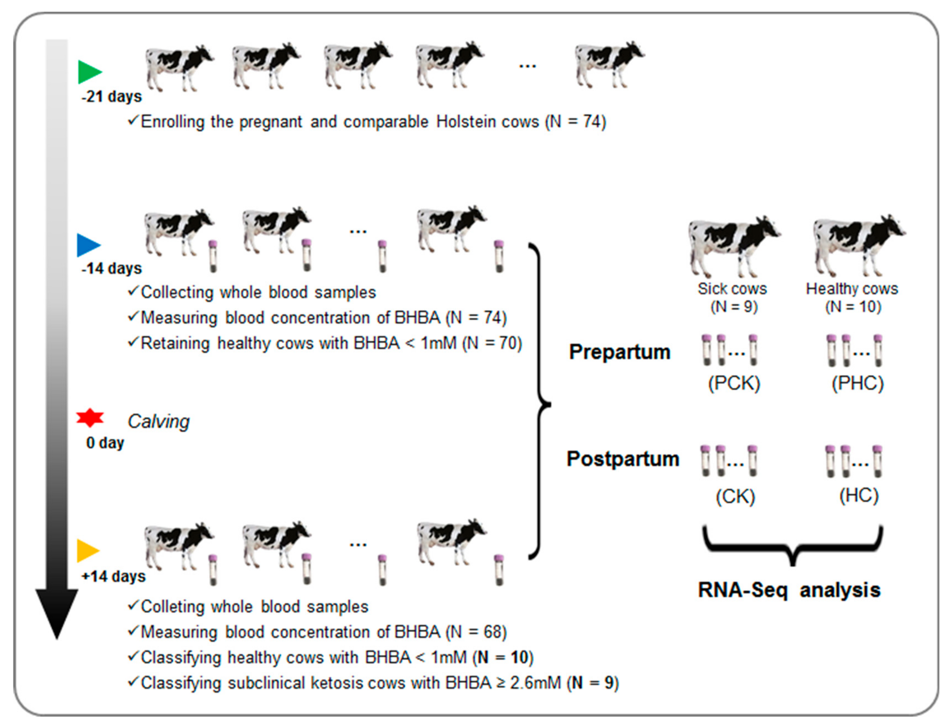 Genes 11 00219 g001 Genes 11 00219 g001