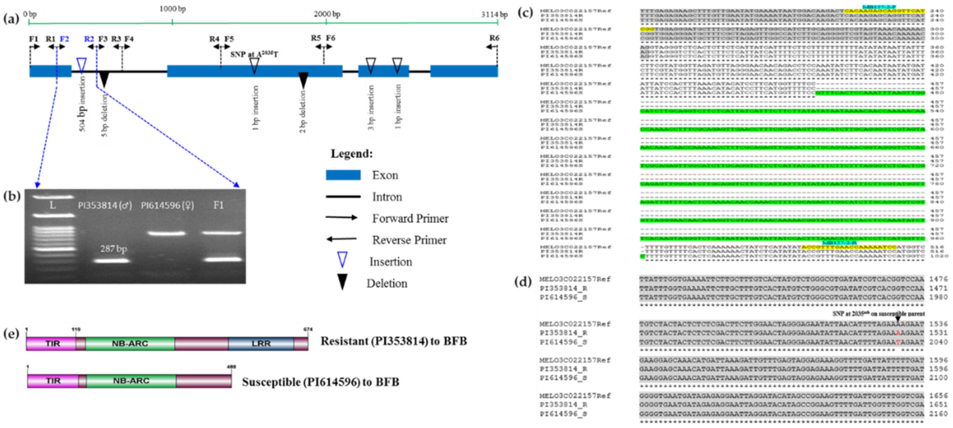 Genes 11 00220 g004
