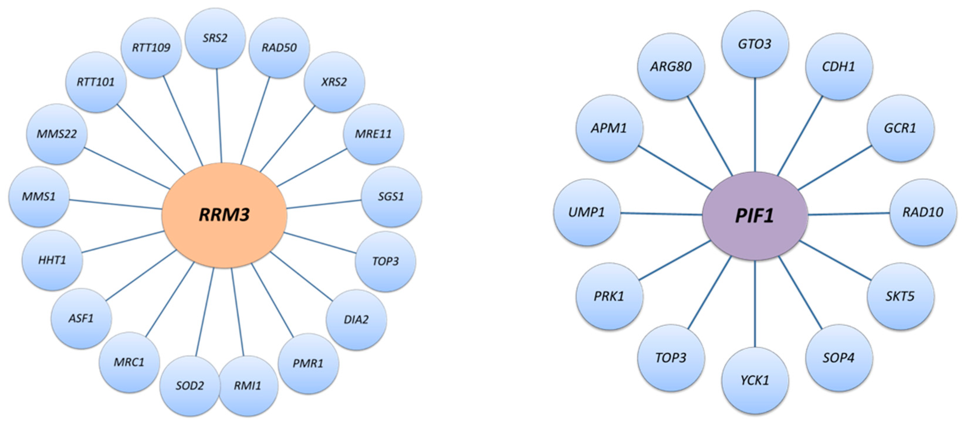 Genes 11 00224 g002 Genes 11 00224 g002