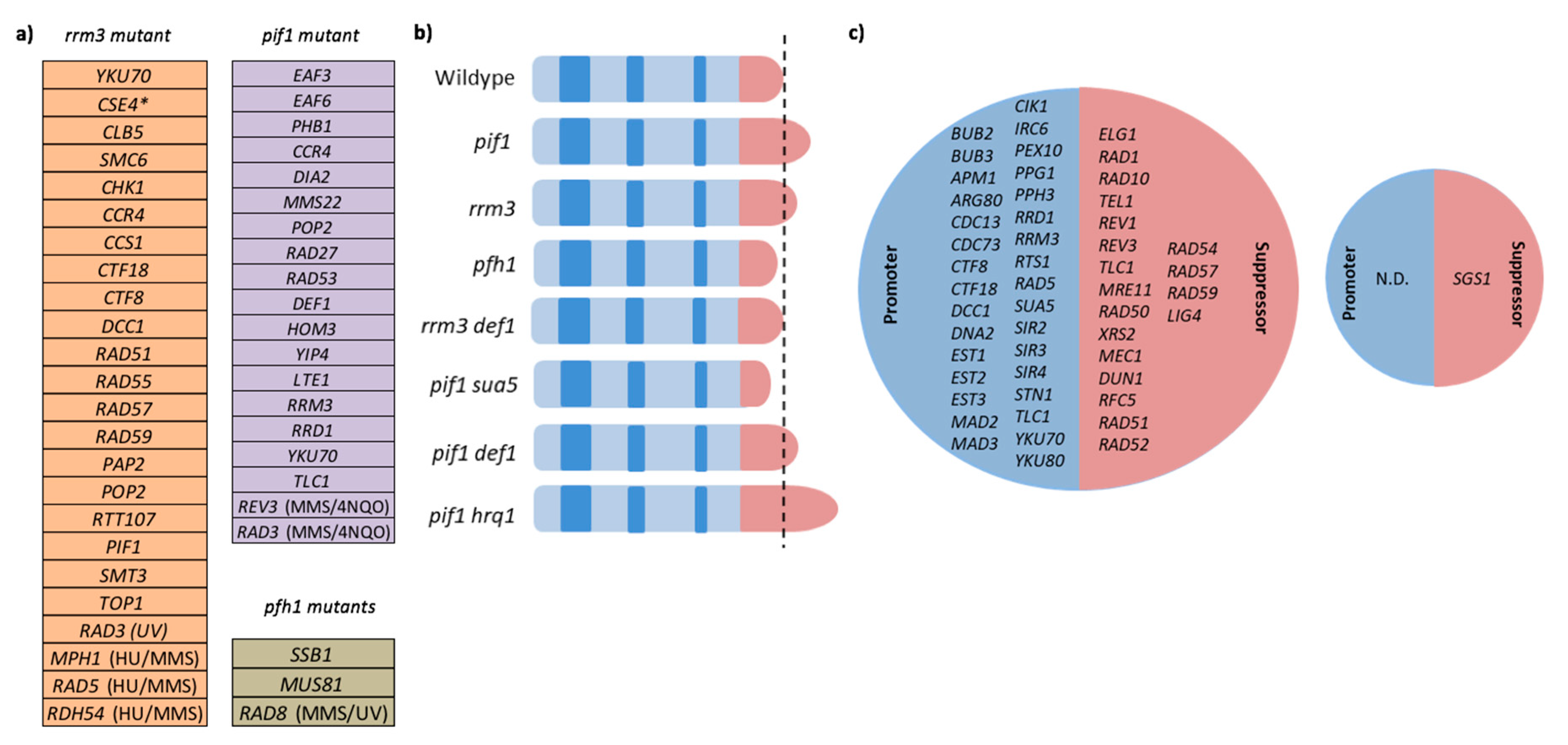 Genes 11 00224 g003 Genes 11 00224 g003