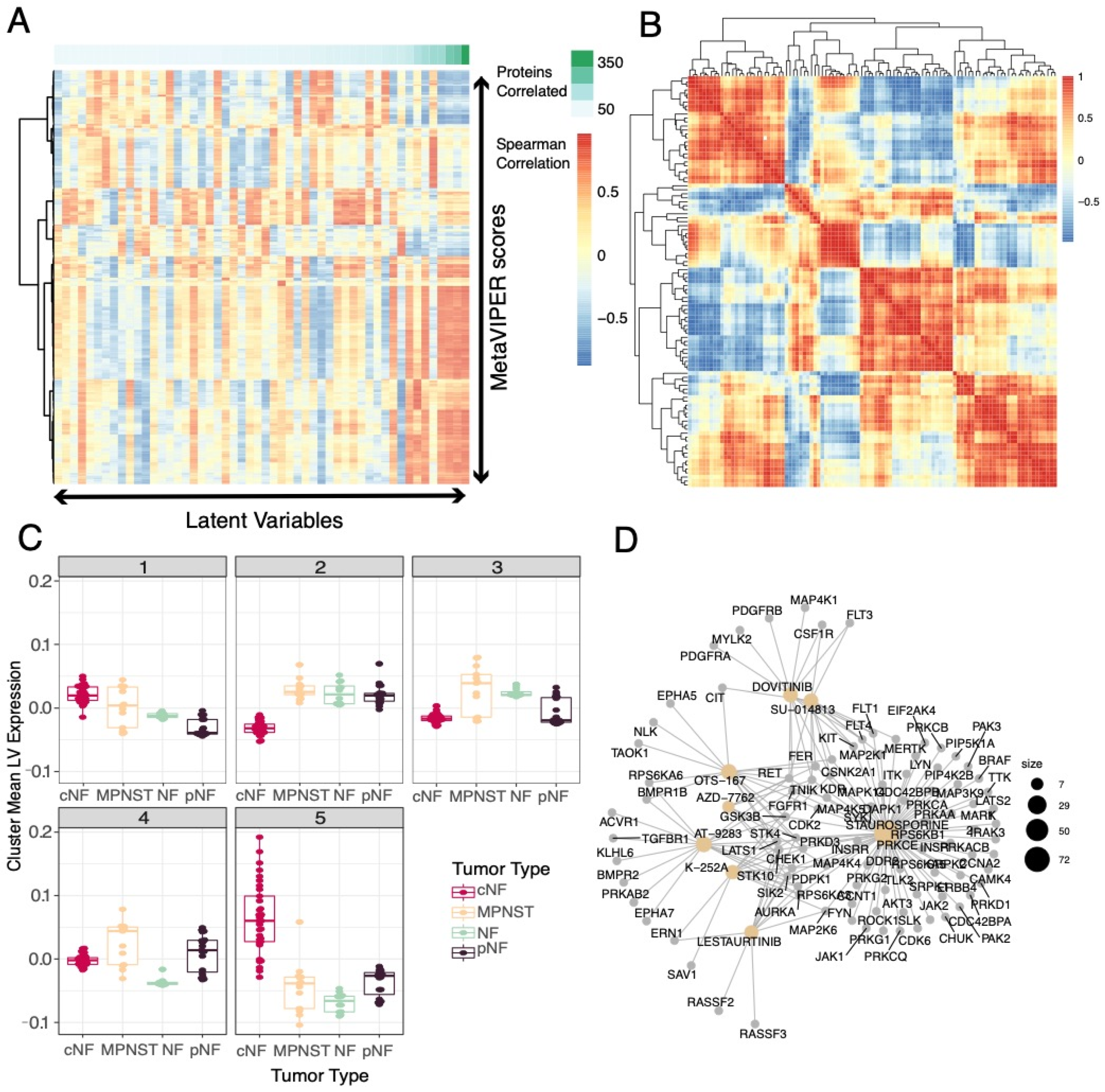 Genes 11 00226 g006