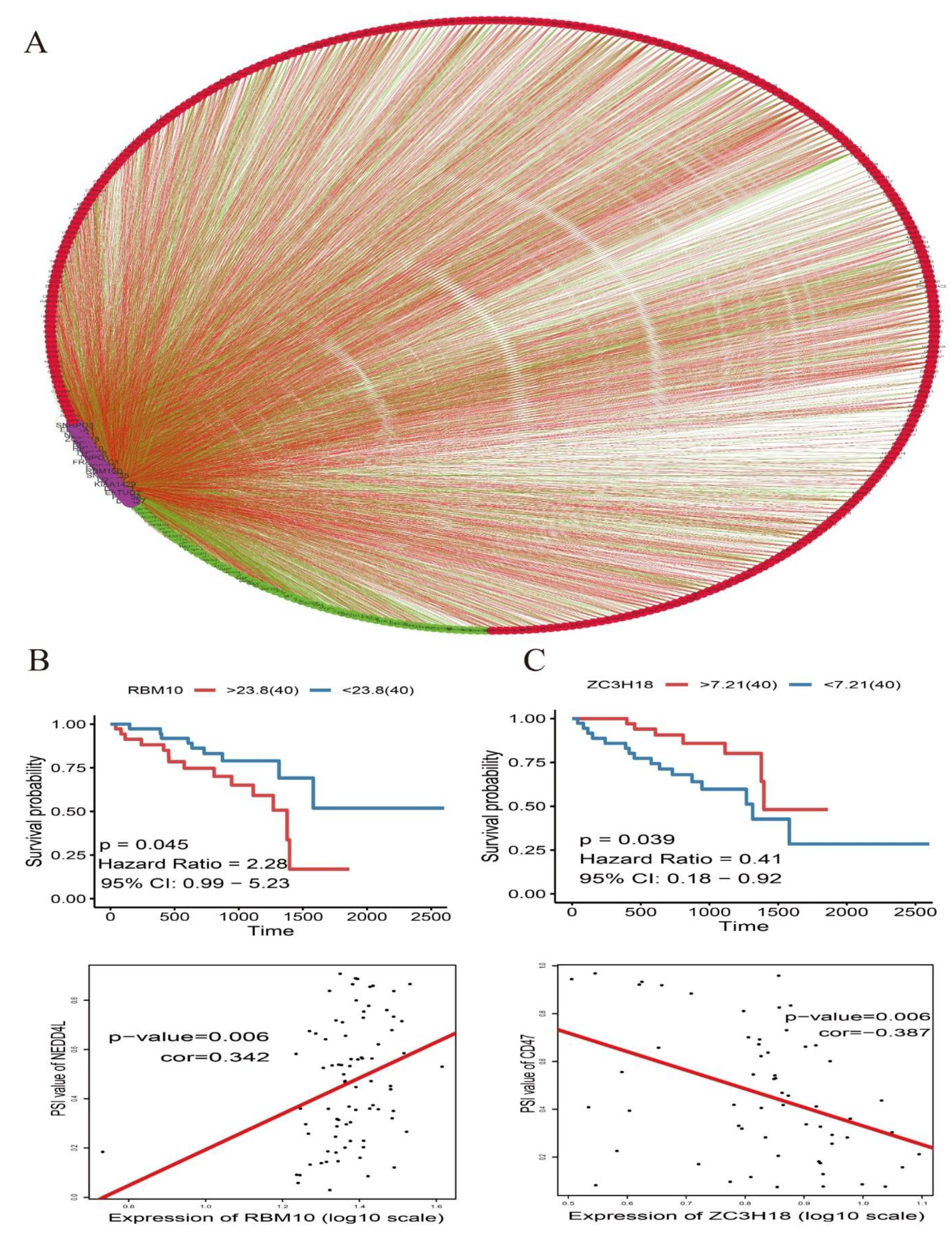 Genes 11 00227 g009