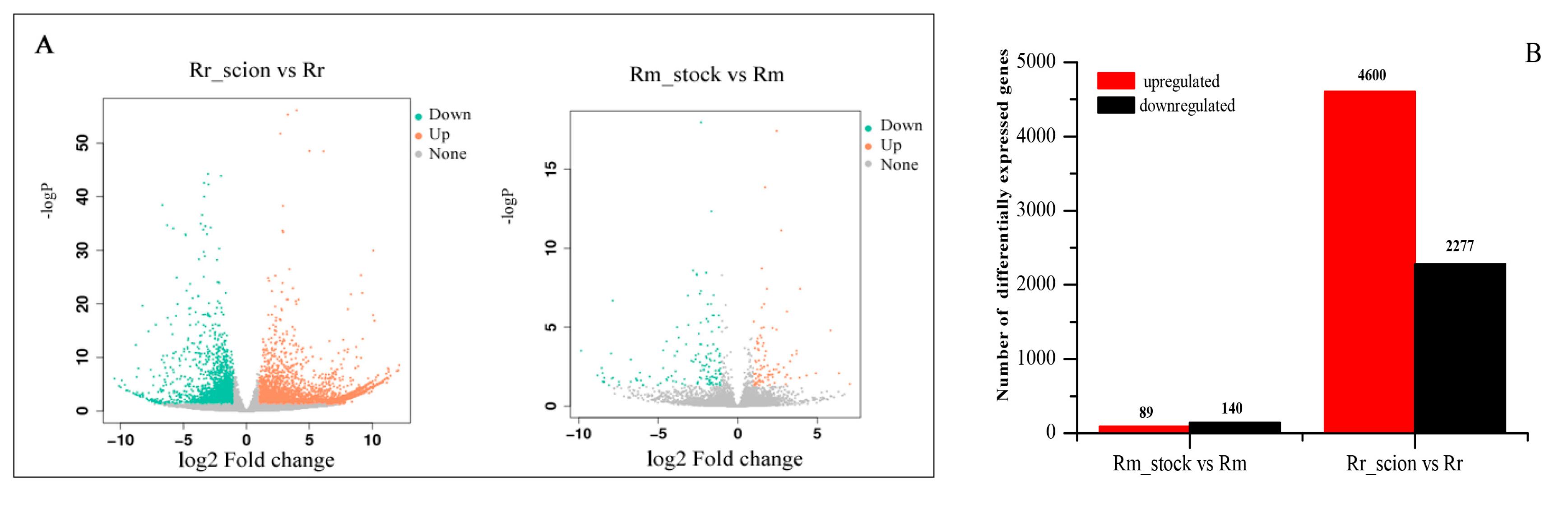 Genes 11 00228 g002 Genes 11 00228 g002