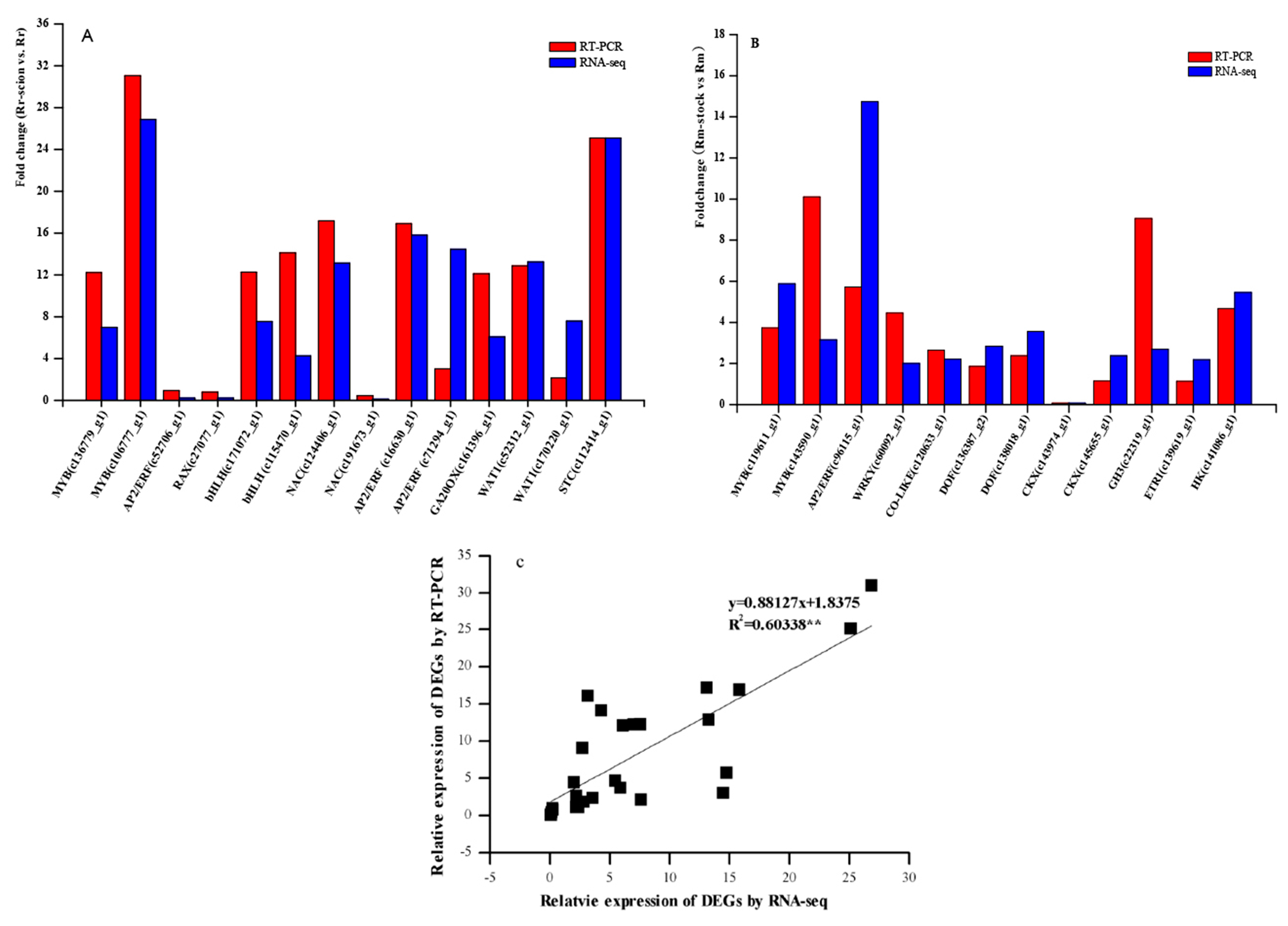 Genes 11 00228 g007 Genes 11 00228 g007