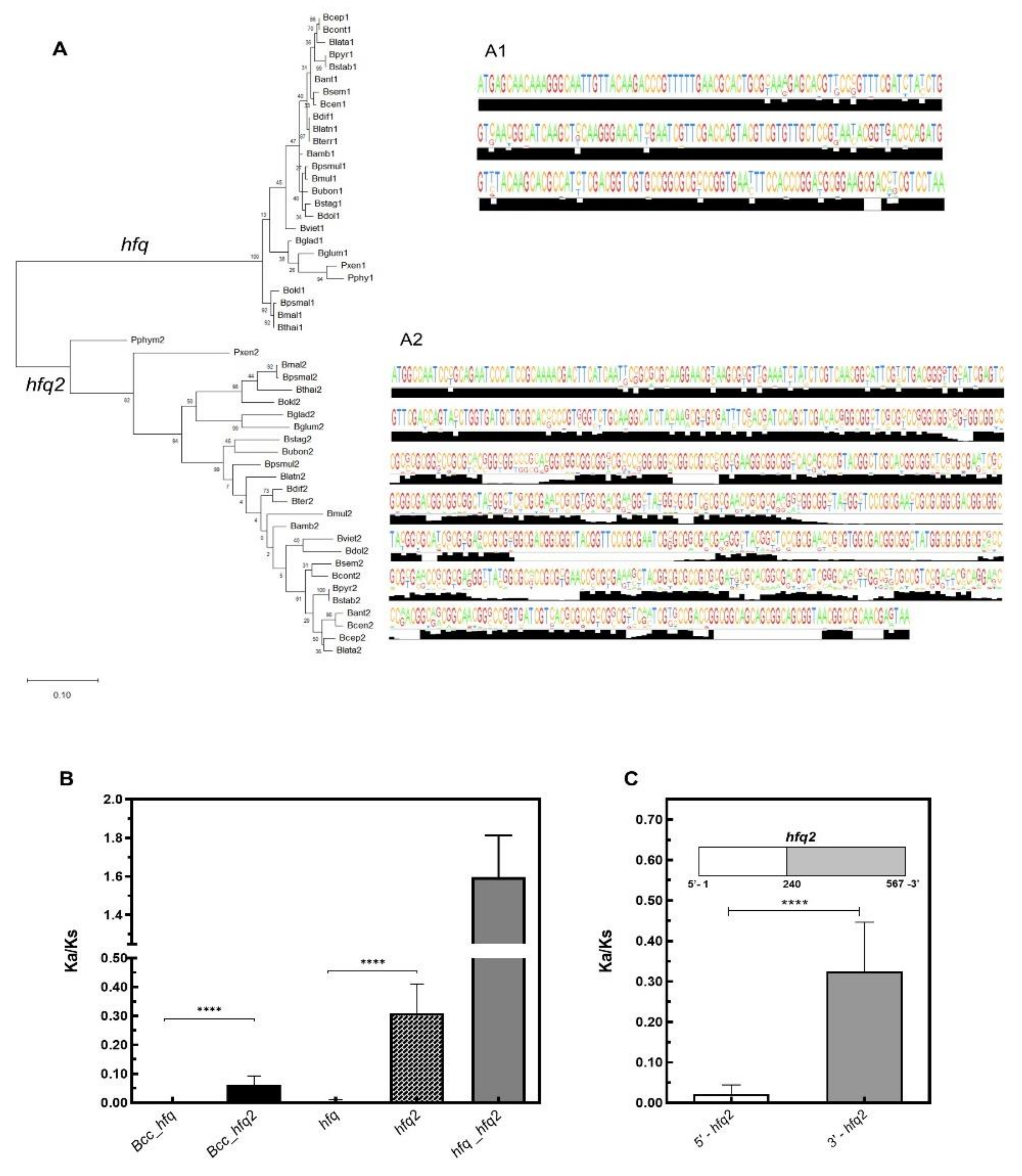 Genes 11 00231 g002 Genes 11 00231 g002