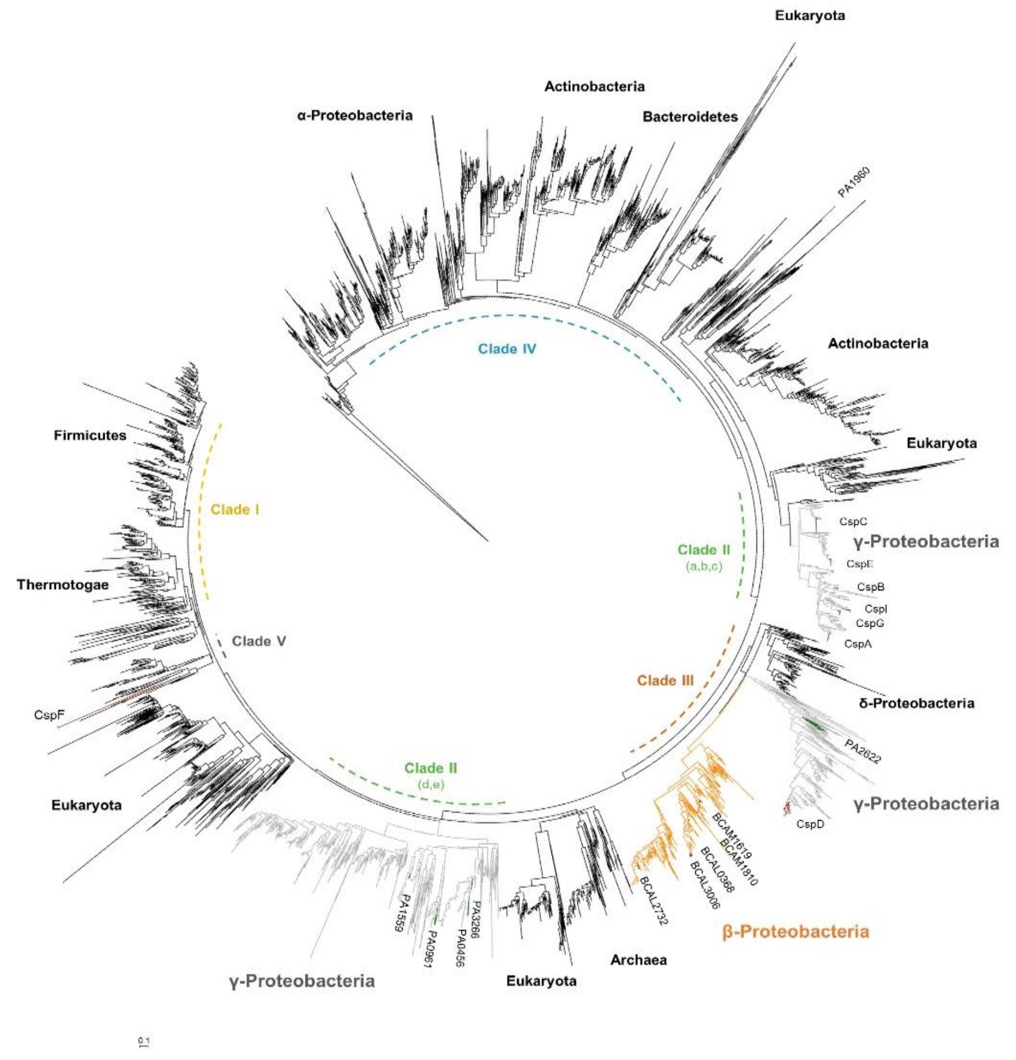 Genes 11 00231 g004 Genes 11 00231 g004