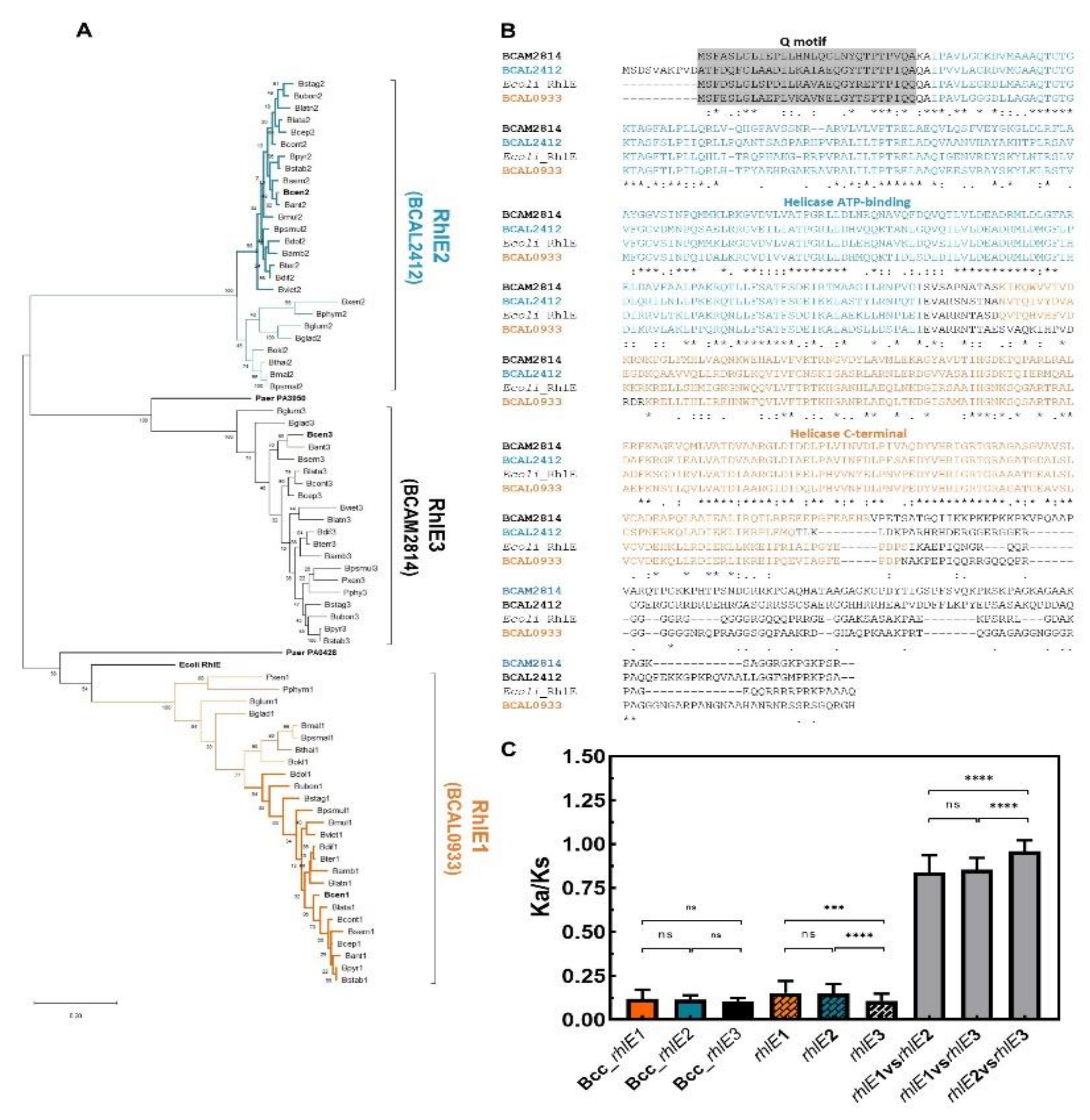 Genes 11 00231 g007 Genes 11 00231 g007