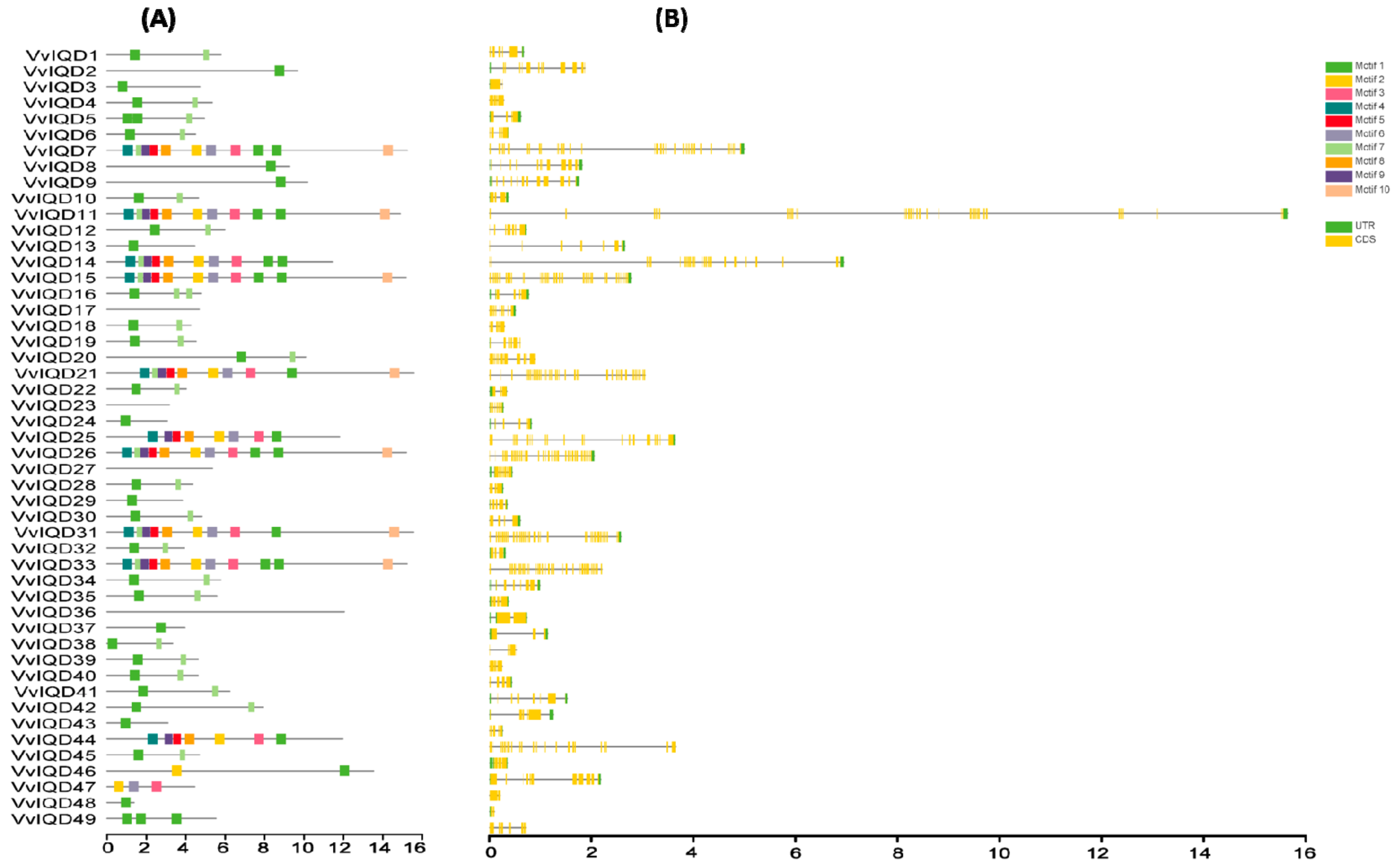 Genes 11 00235 g001 Genes 11 00235 g001
