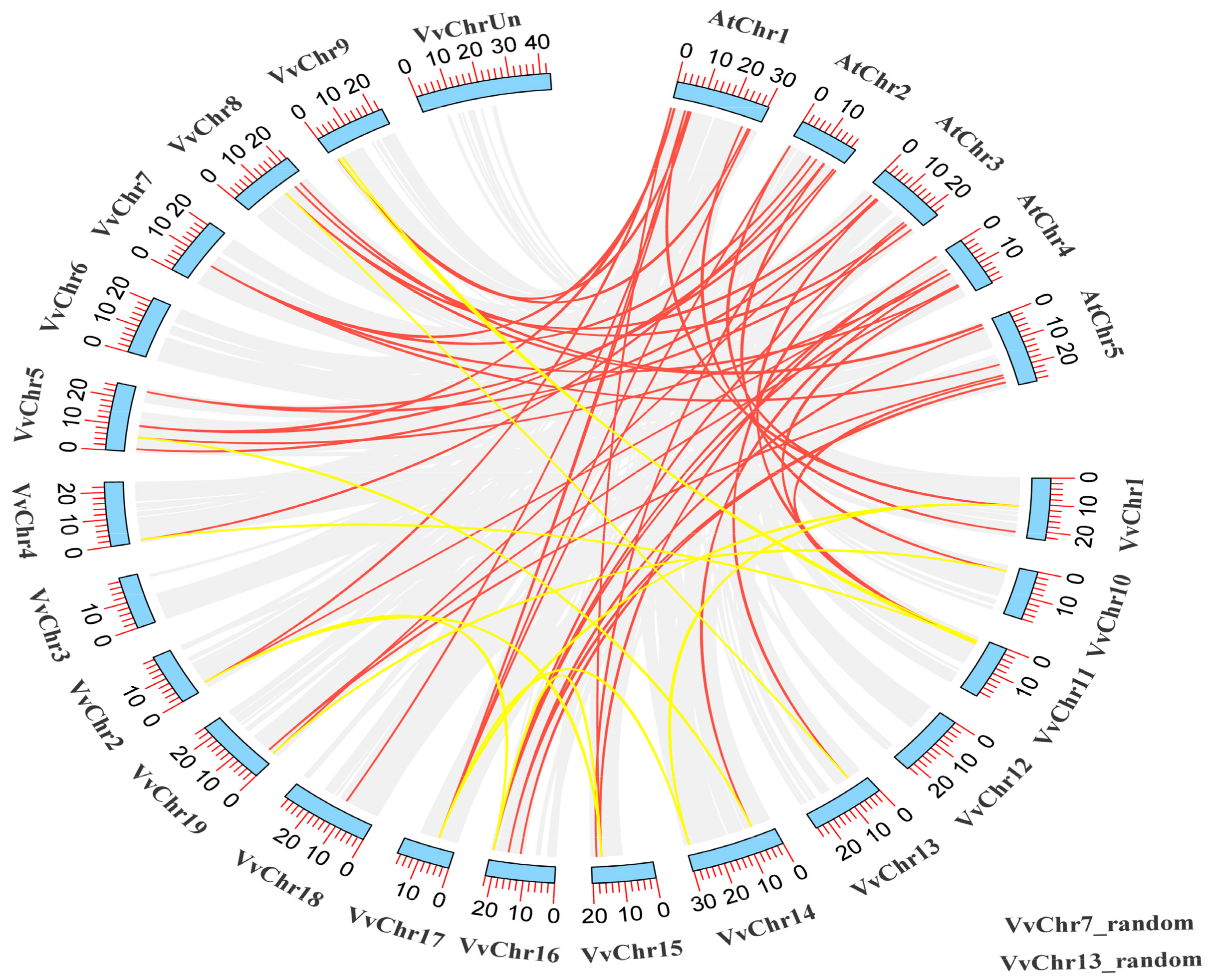 Genes 11 00235 g002 Genes 11 00235 g002
