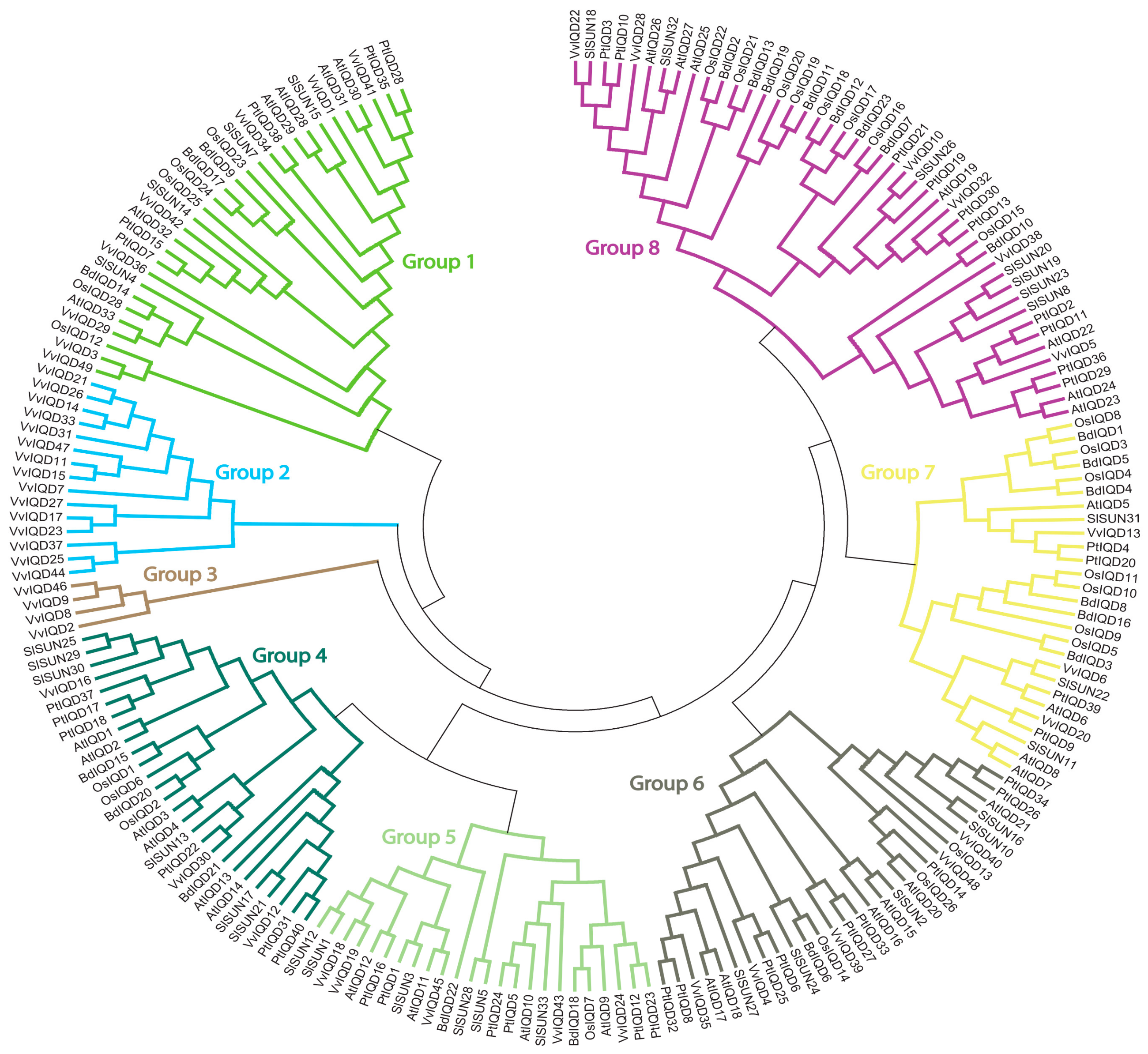 Genes 11 00235 g003 Genes 11 00235 g003
