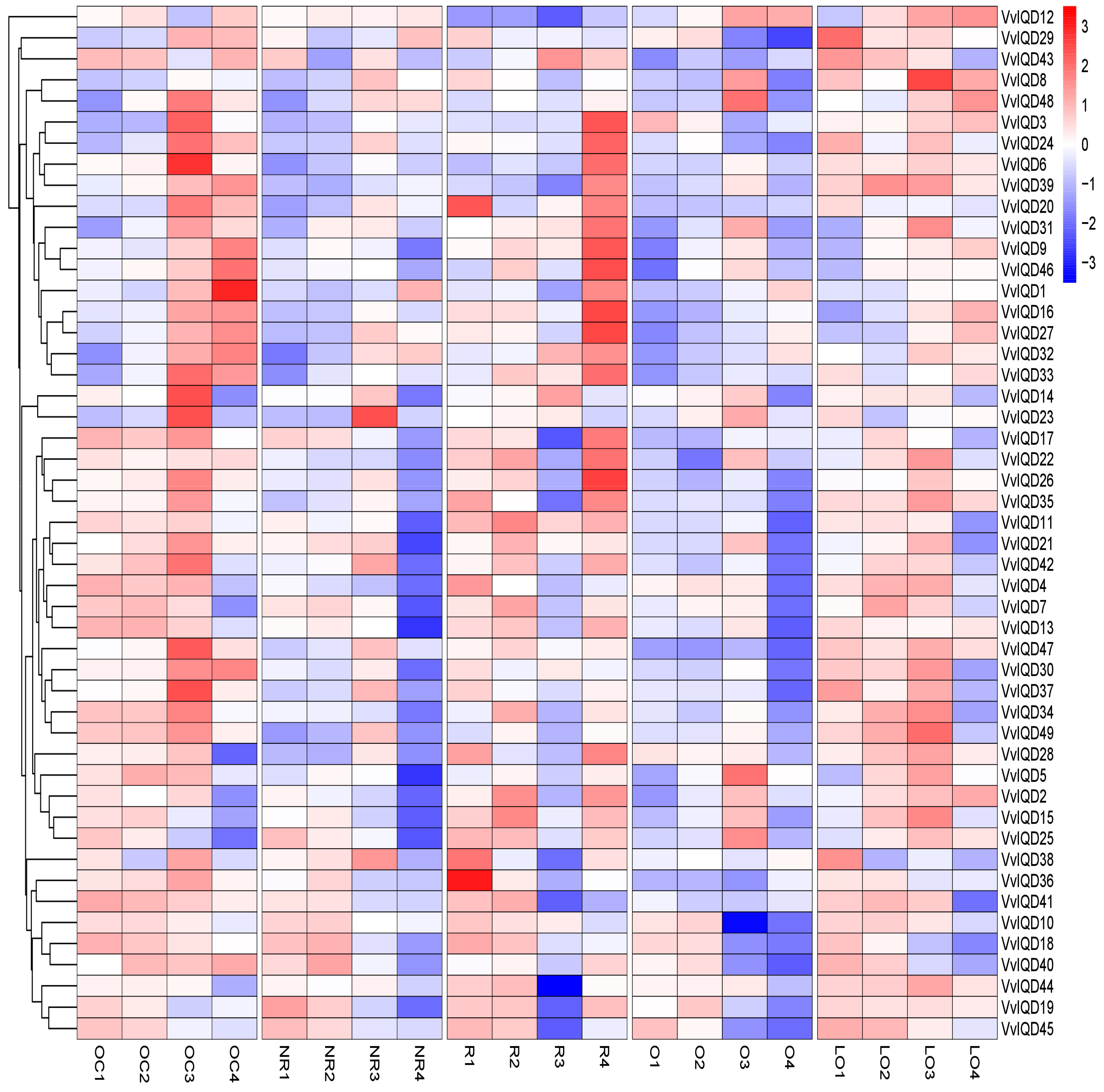 Genes 11 00235 g004 Genes 11 00235 g004