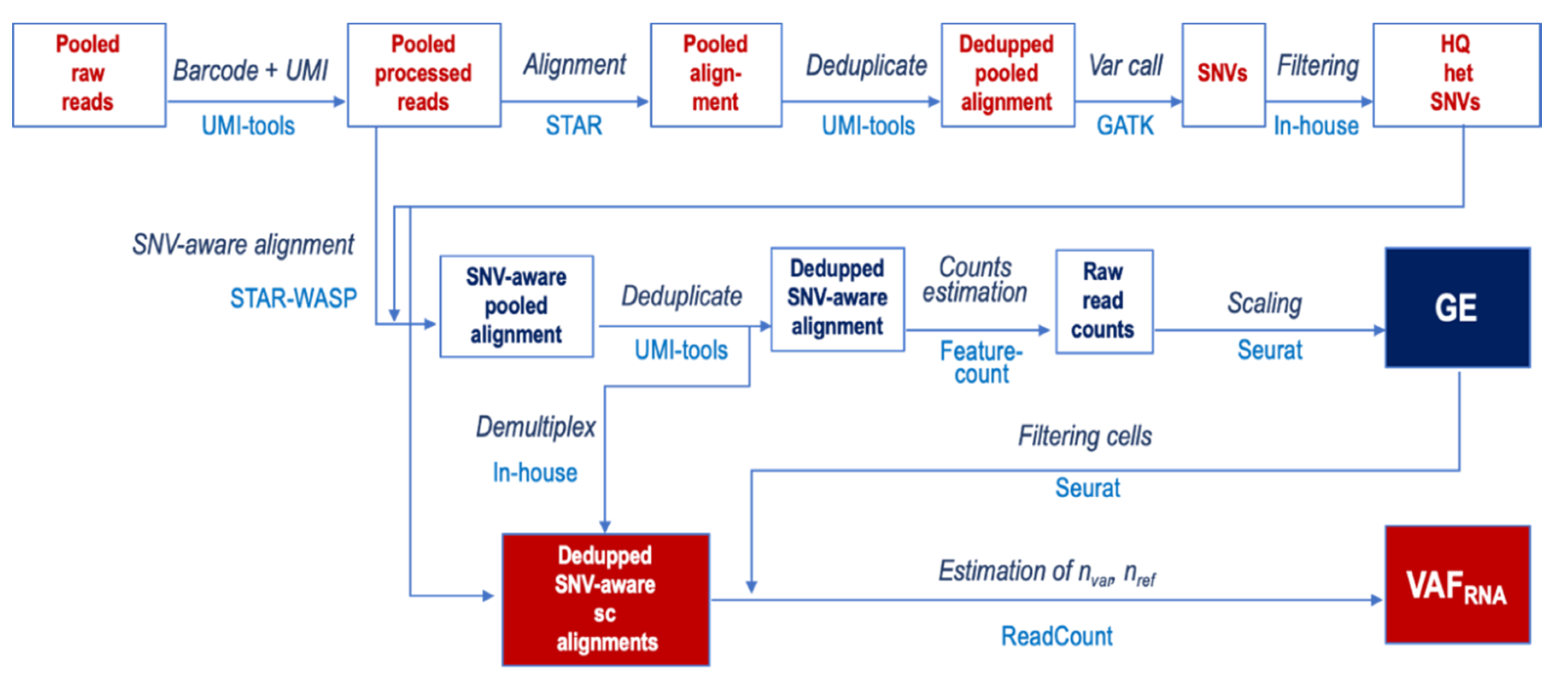Genes 11 00240 g001 Genes 11 00240 g001