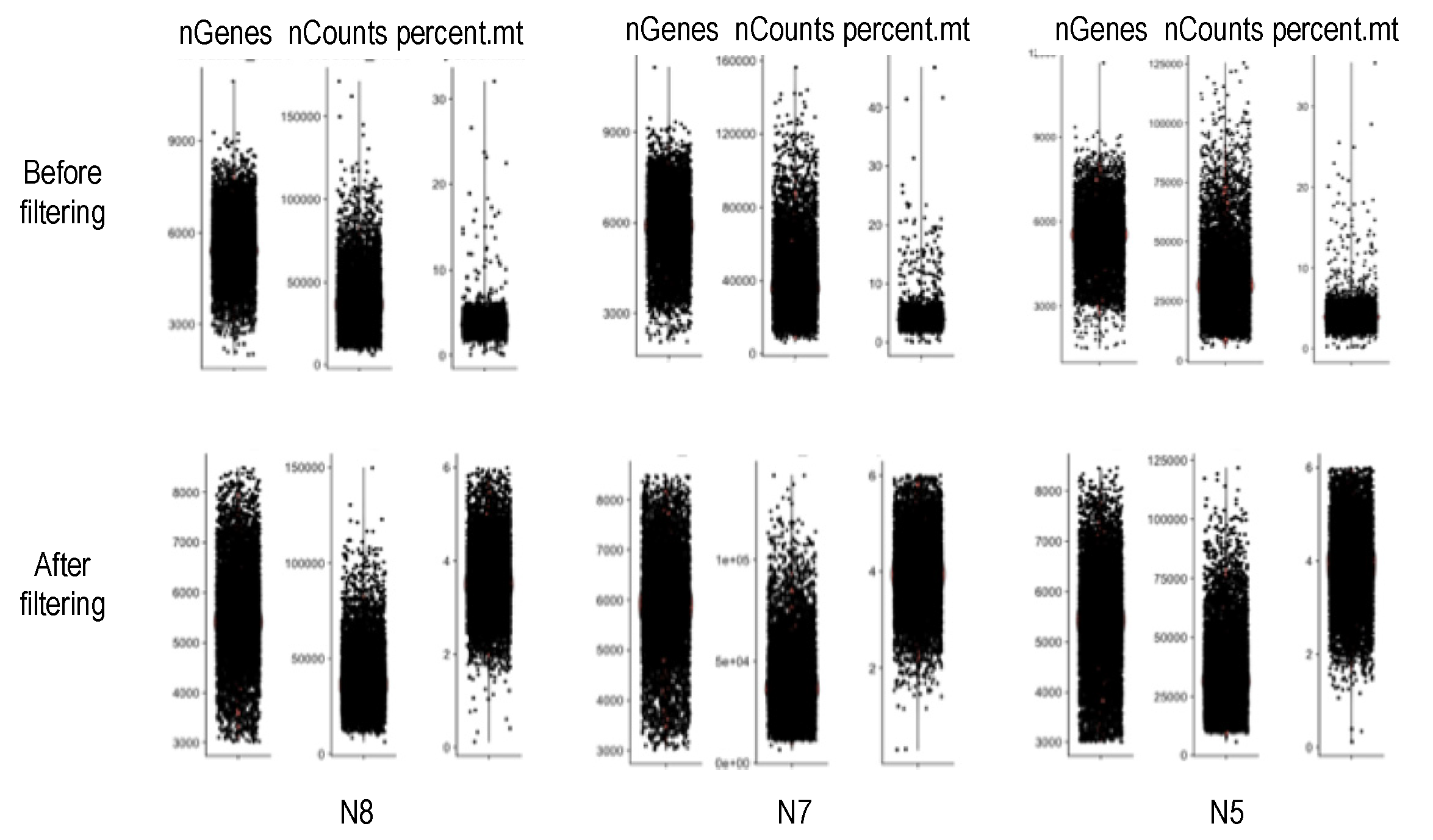 Genes 11 00240 g002 Genes 11 00240 g002