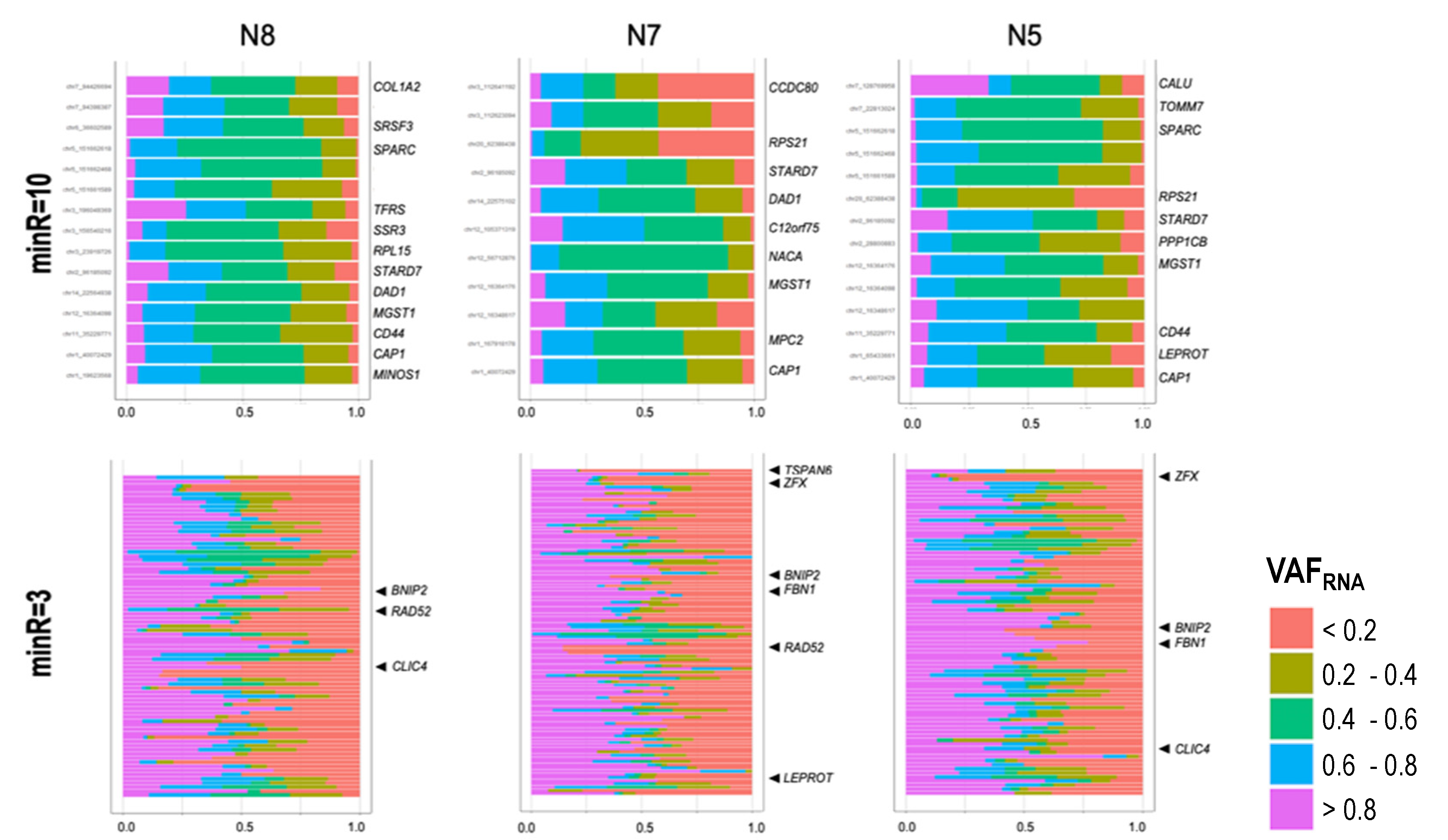 Genes 11 00240 g006 Genes 11 00240 g006