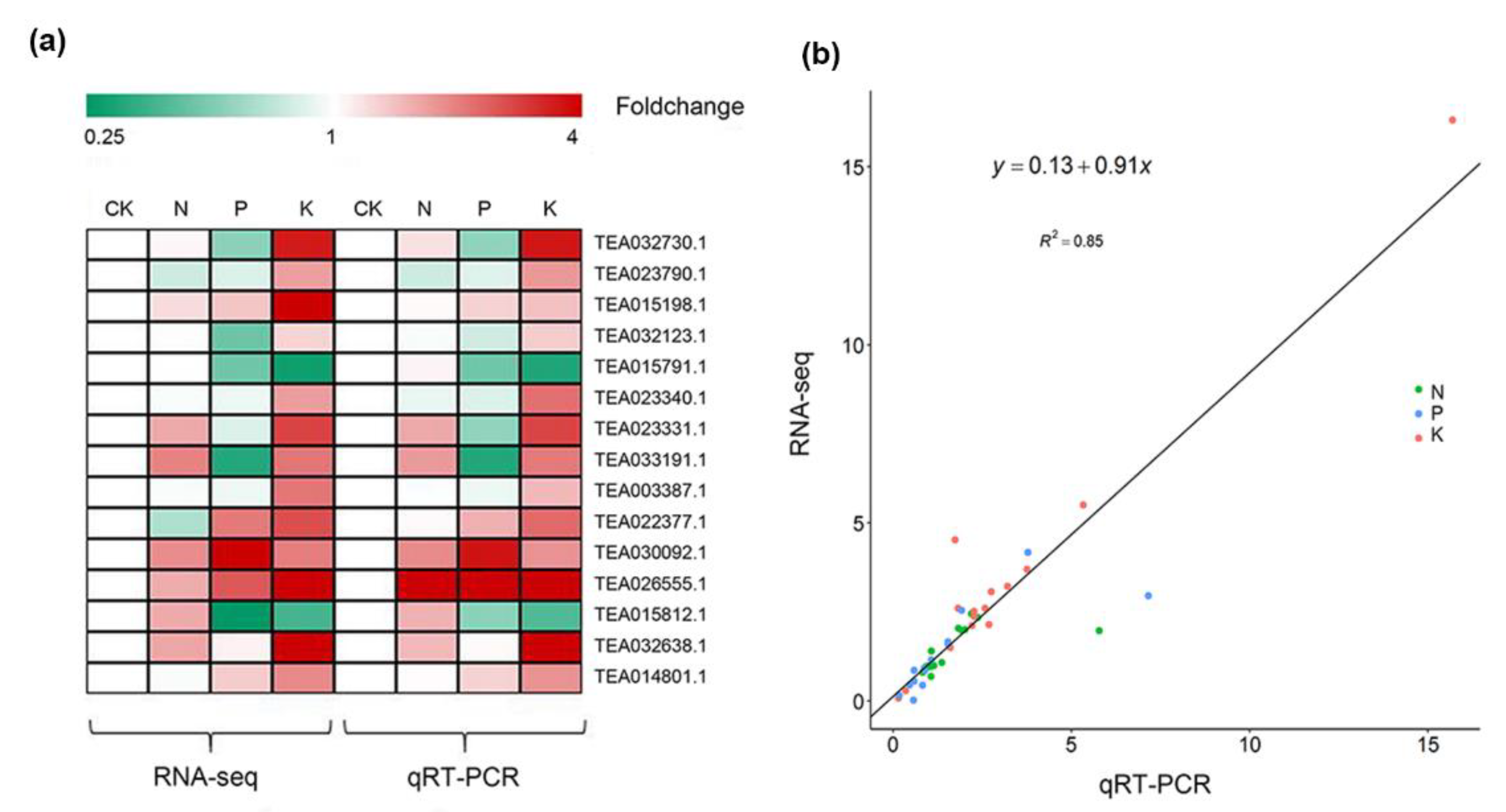Genes 11 00241 g002 Genes 11 00241 g002