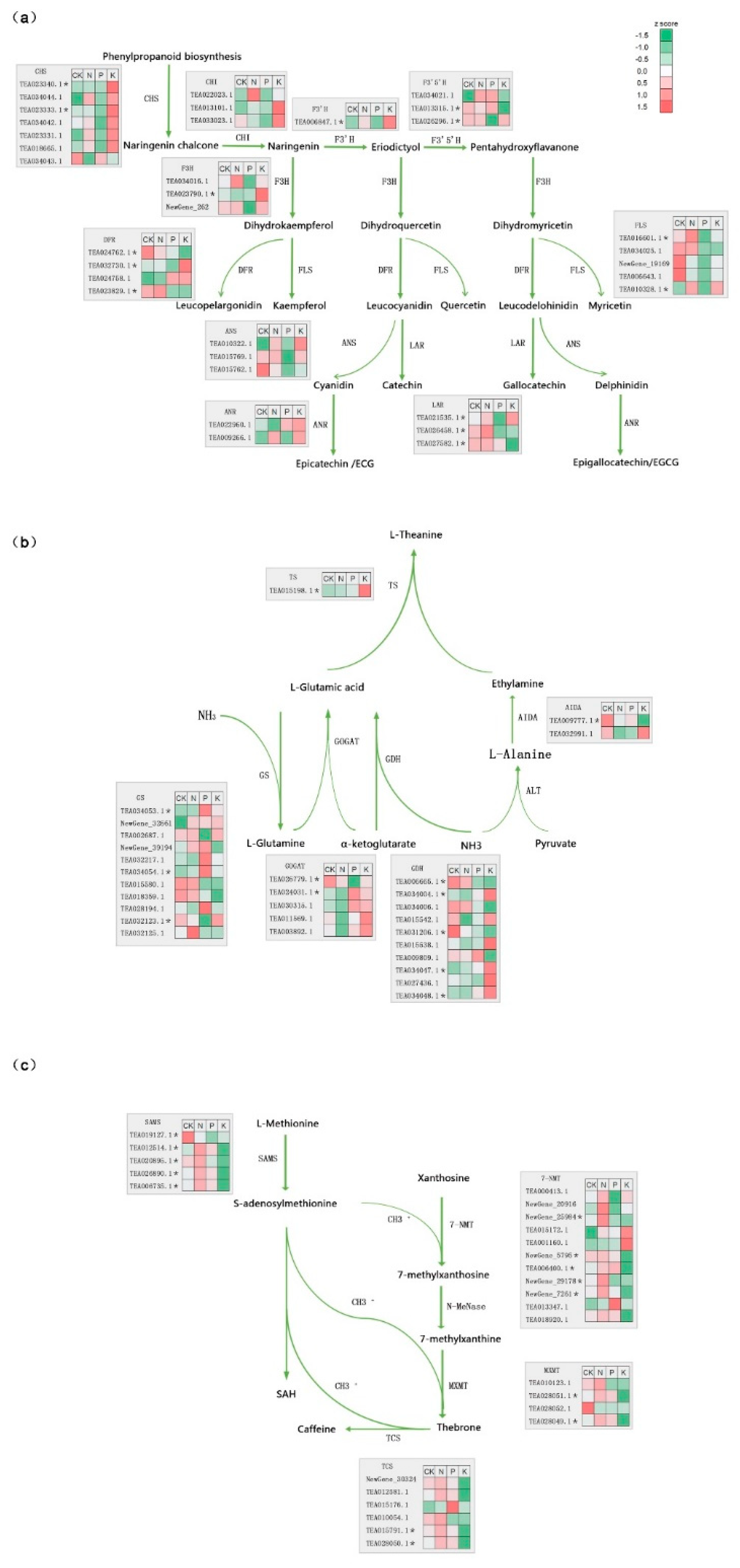 Genes 11 00241 g005 Genes 11 00241 g005