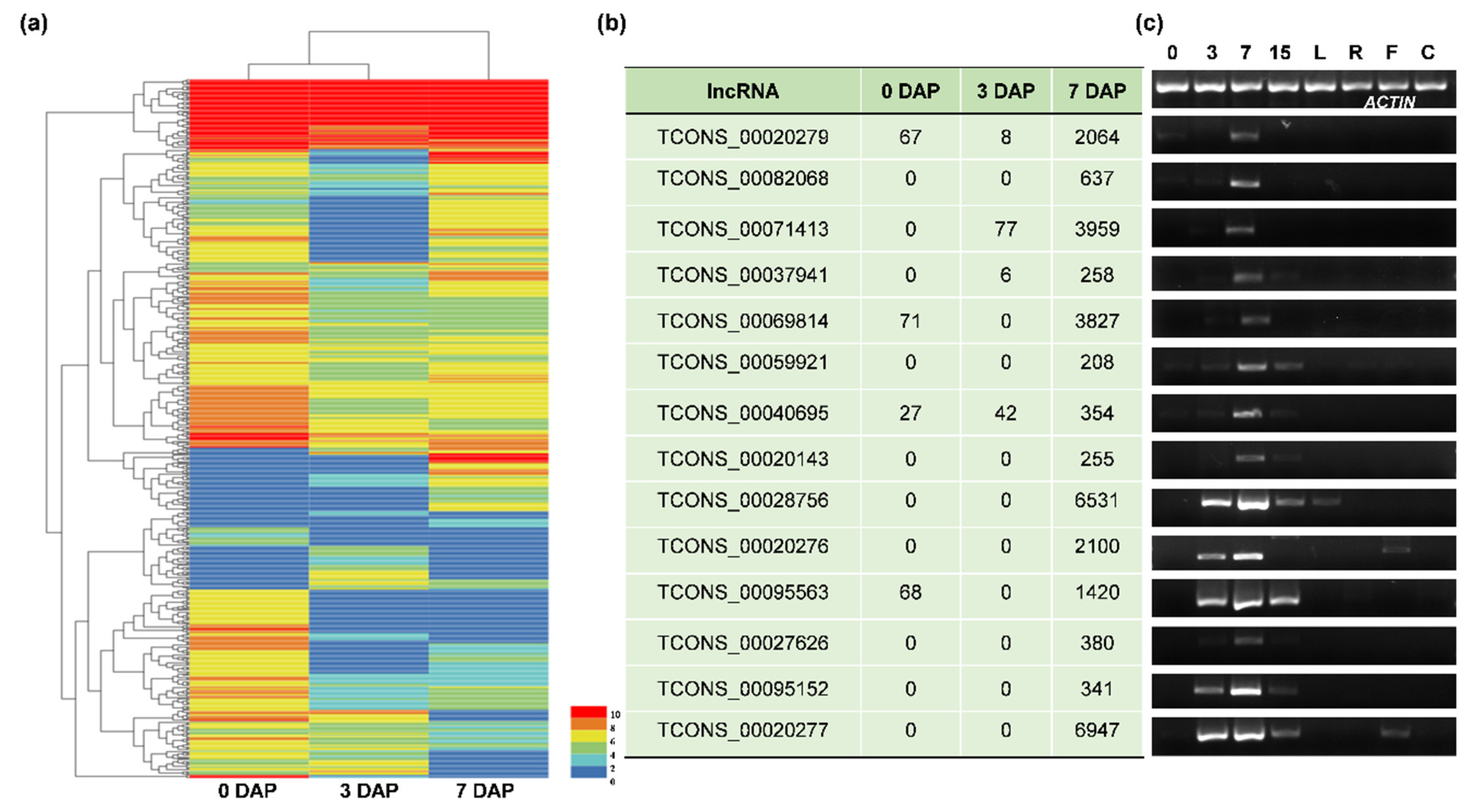 Genes 11 00243 g004