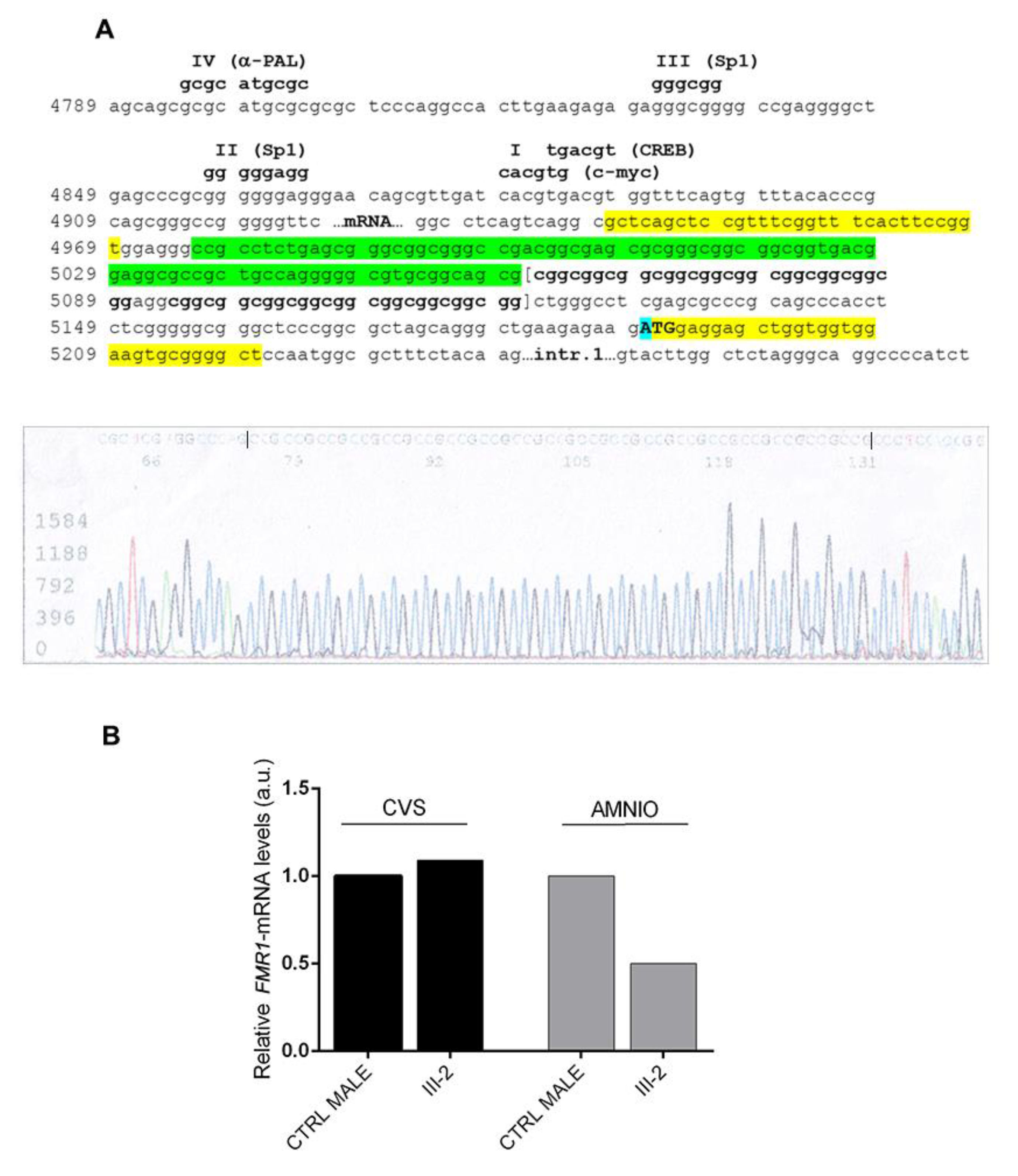 Genes 11 00248 g004