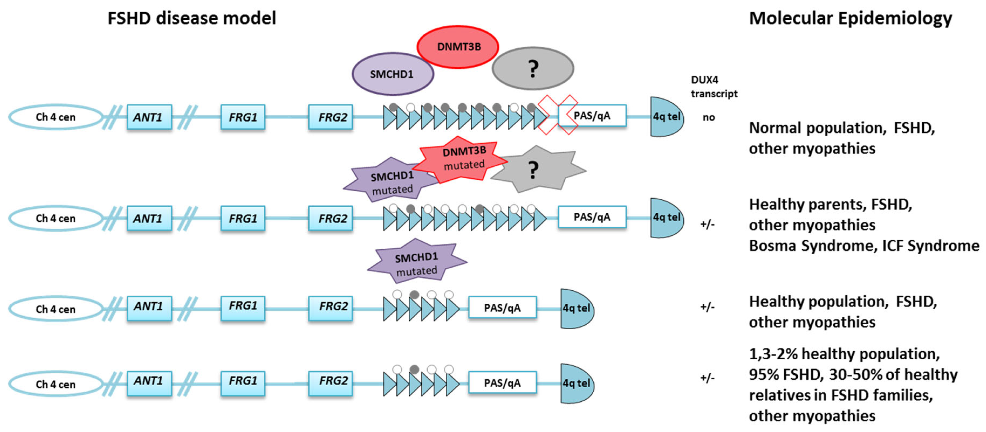 Genes 11 00258 g001 Genes 11 00258 g001