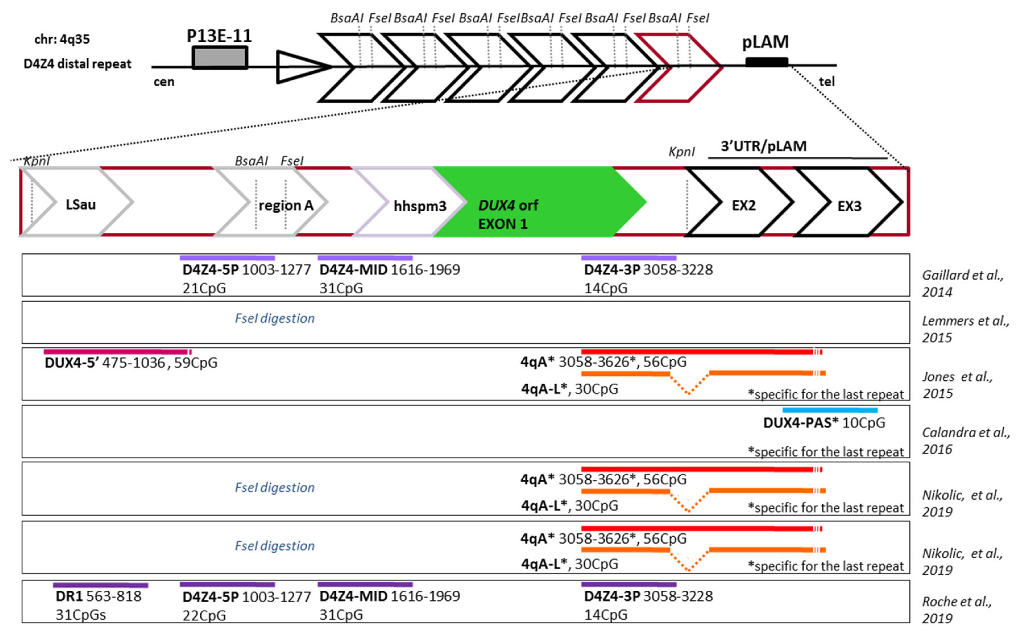 Genes 11 00258 g002 Genes 11 00258 g002