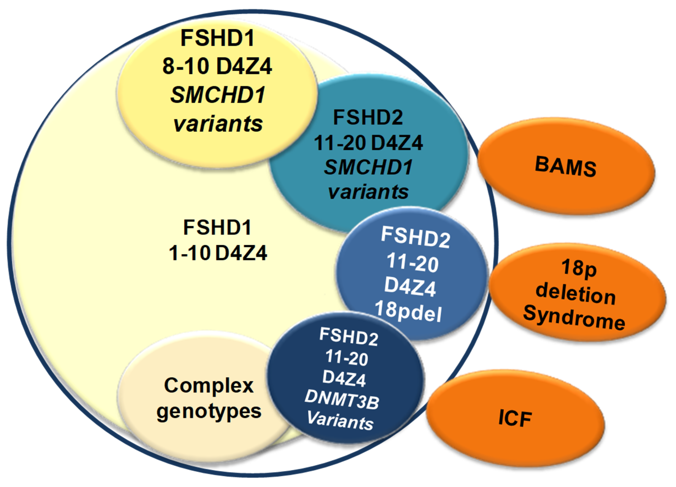 Genes 11 00258 g003 Genes 11 00258 g003