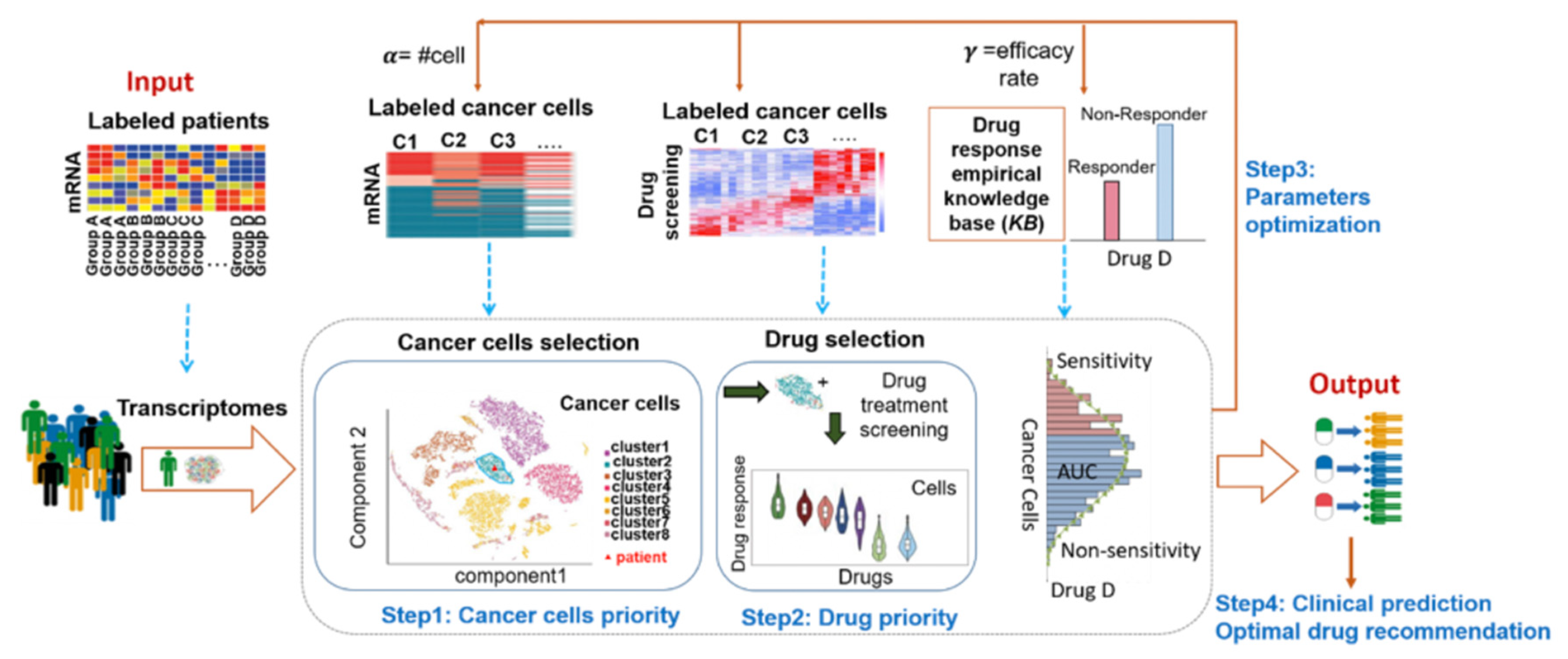 Computational Cancer Cell Models to Guide Precision Breast Cancer 